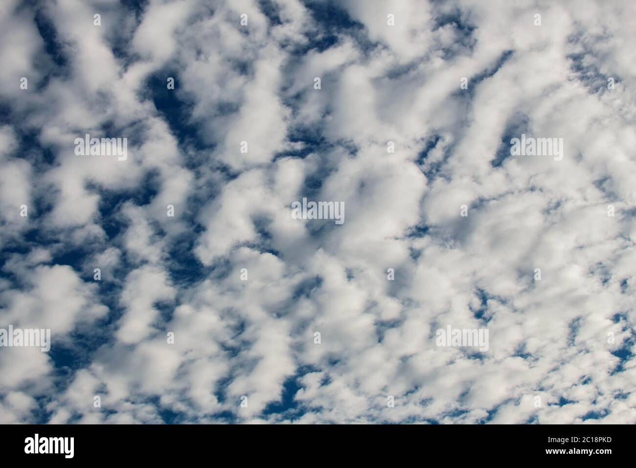 Wolken weiß blauer Himmel. Stockfoto