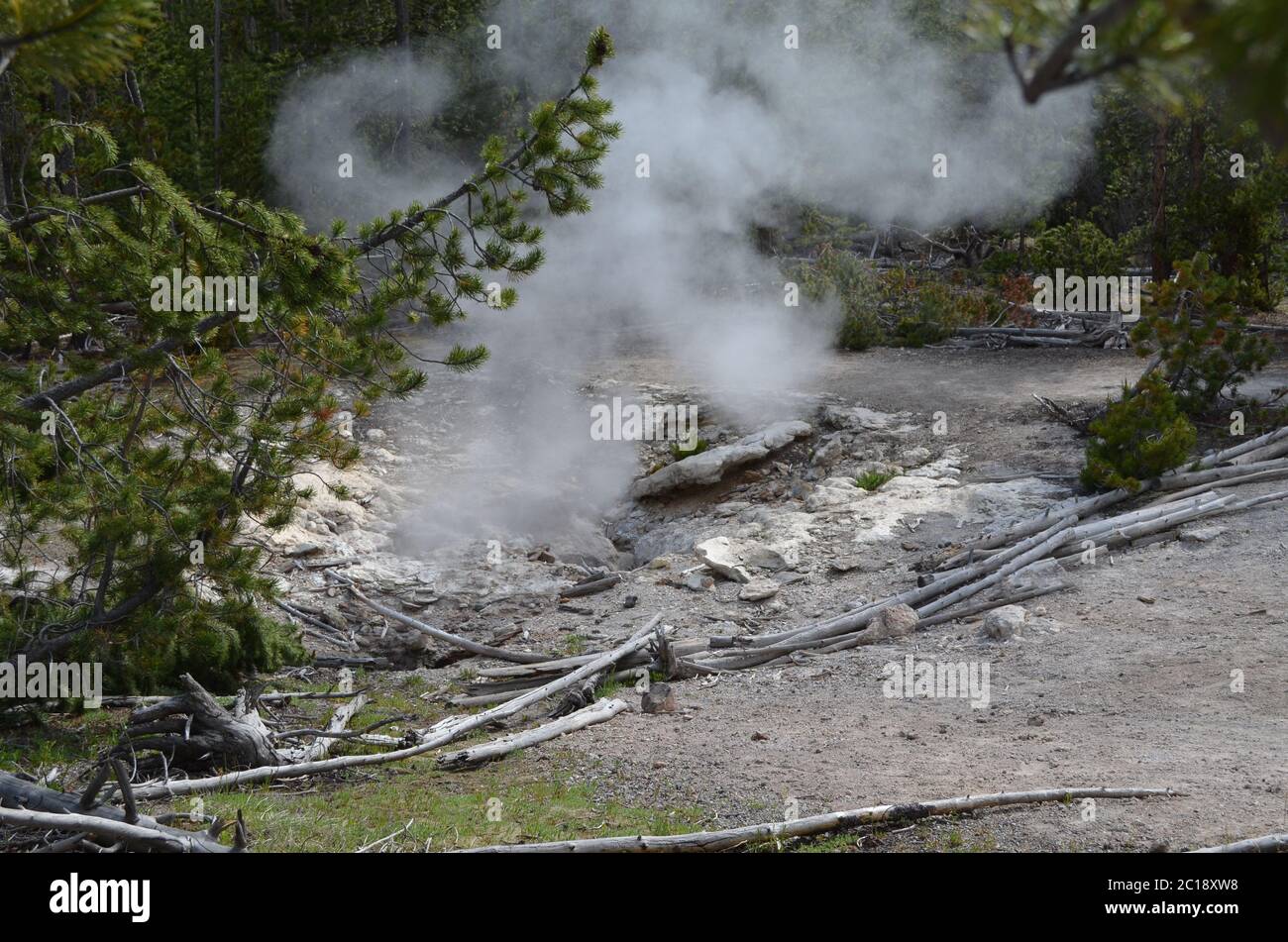 Spätherbsting im Yellowstone National Park: Forgotten Fumarole im Back Basin Bereich des Norris Geyser Basin Stockfoto