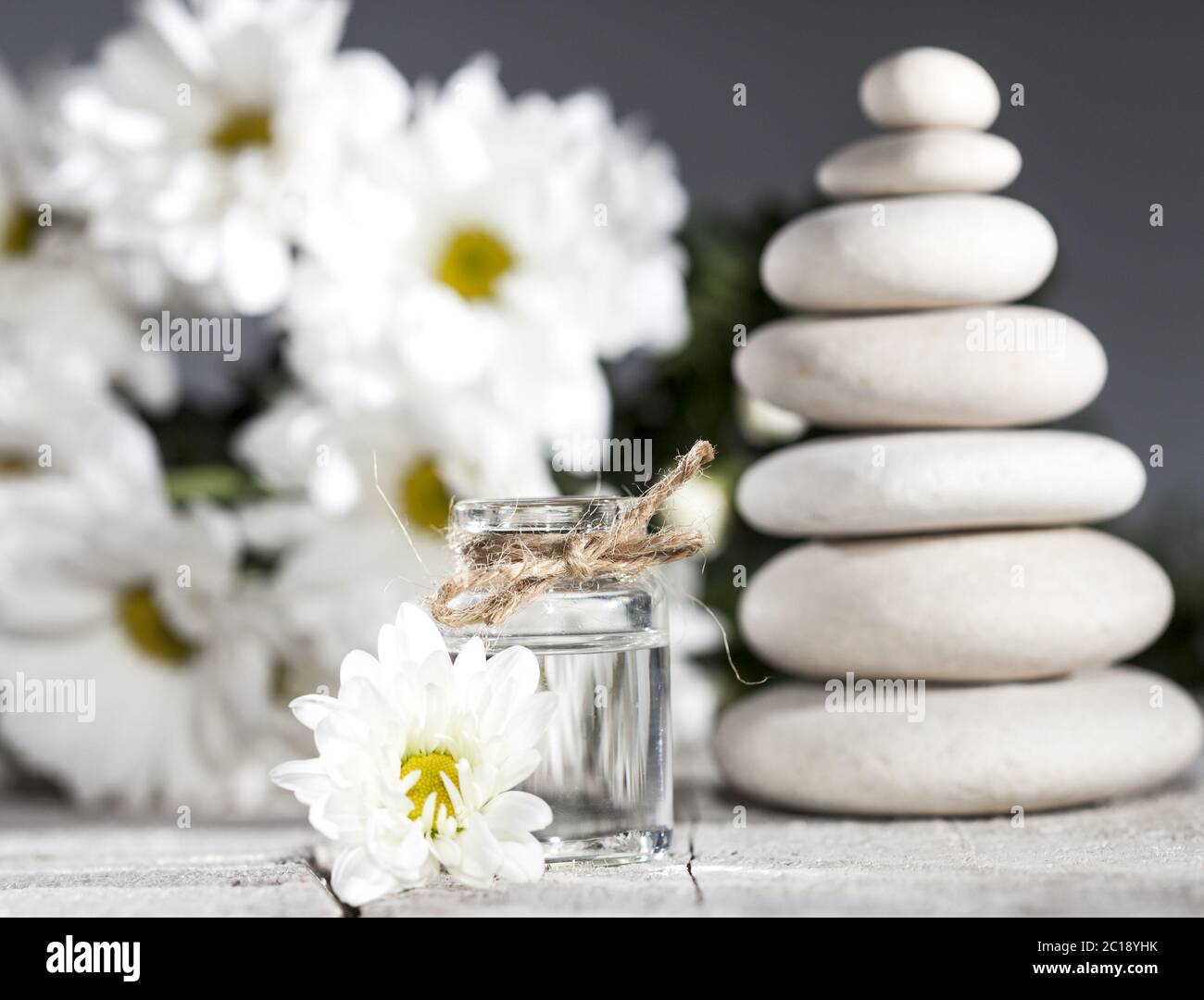 Ätherisches Öl der Kamille, Bouquet von Kamillenblüten und Steinhaufen Stockfoto