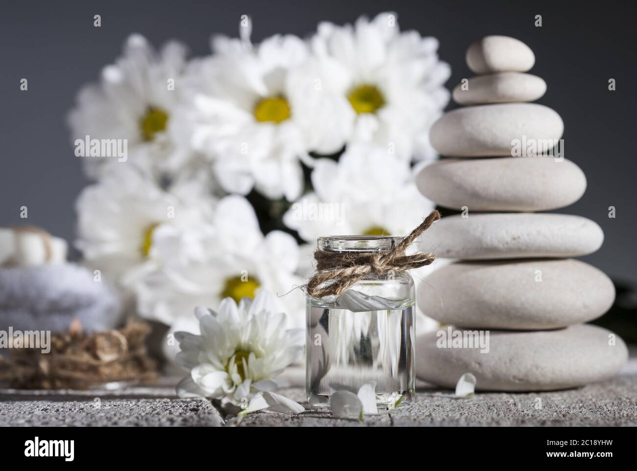 Ätherisches Öl der Kamille, Bouquet von Kamillenblüten und Steinhaufen Stockfoto