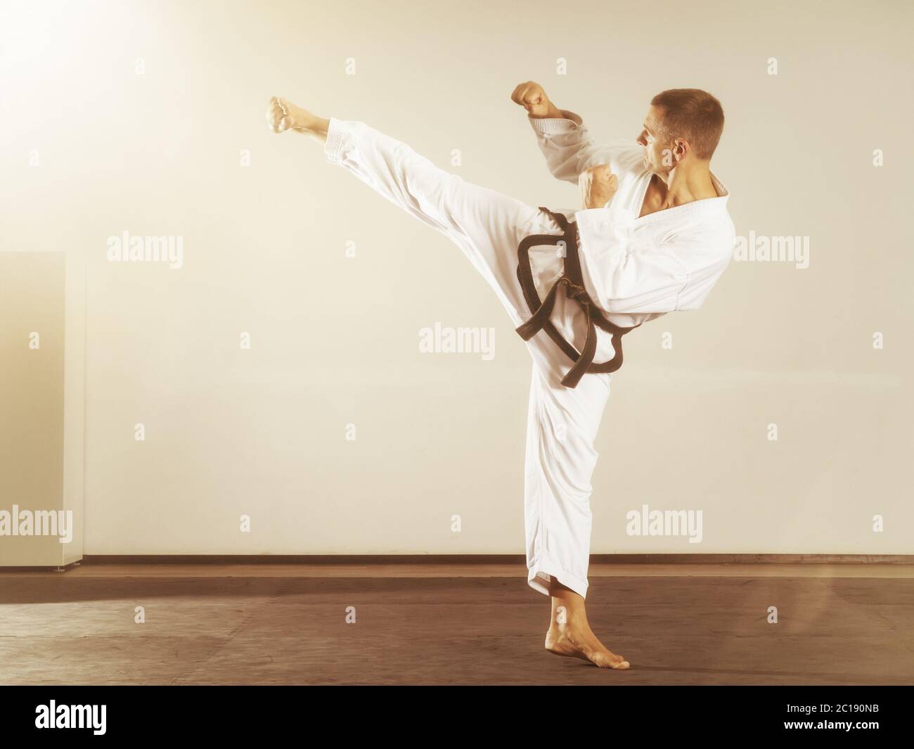 Meister der Kampfkunst, Nebentritt Stockfoto