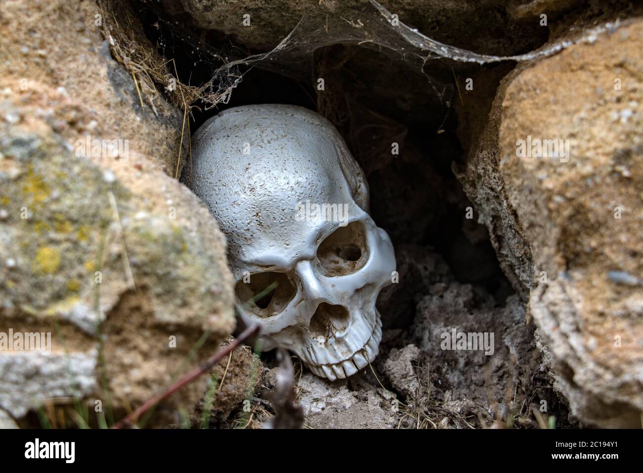 Menschlicher Schädel in Loch in der Steinwand. Verlassener Schädel zwischen Steinen mit Kopfsteinpflaster. Stockfoto