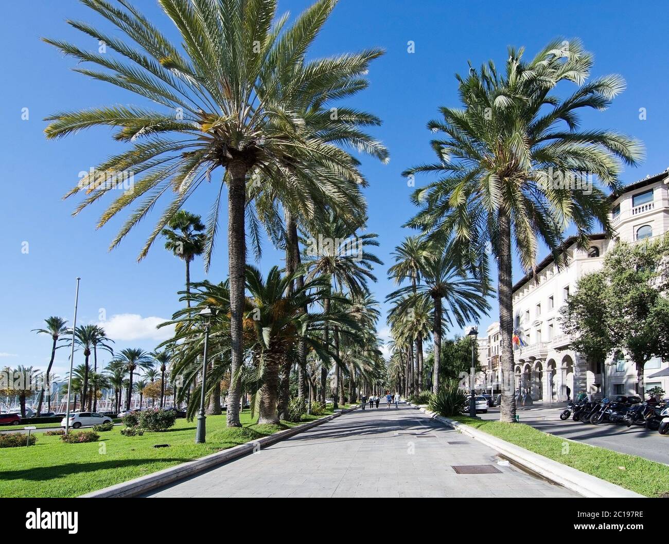 Blick auf die Stadt Paseo Maritimo Palma Stockfoto