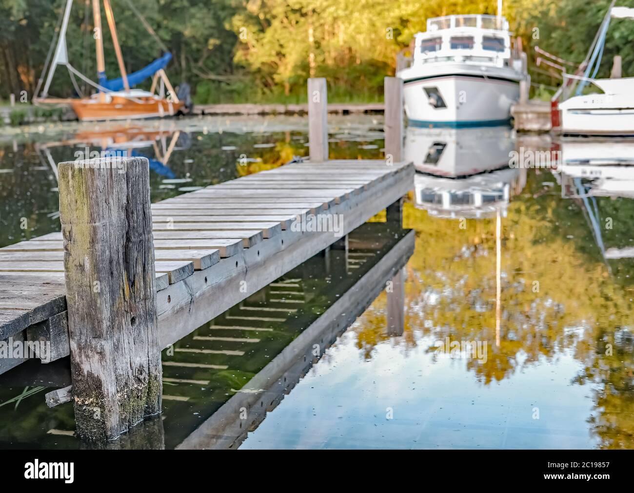 Nahaufnahme und selektiver Fokus auf hölzernen Steg in der privaten Staithe in Barton Turf im Herzen der Norfolk Broads Stockfoto