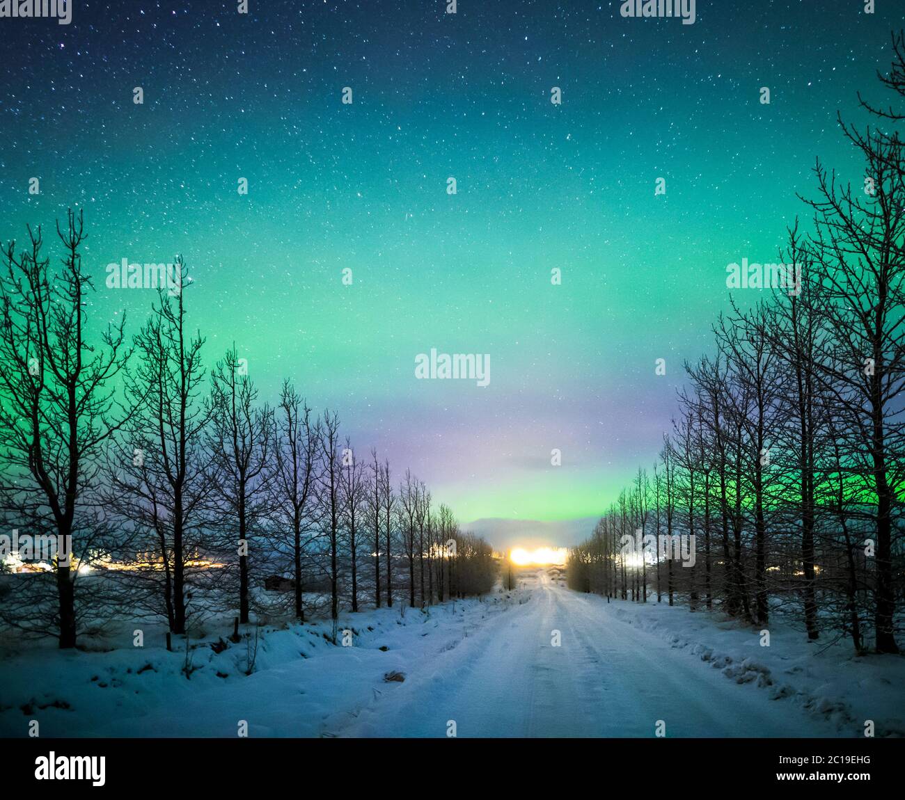 Nordlichter Aurora Borealis über gefrorenen Bäumen und schneebedeckten Straße im Winter von Island, Europa Stockfoto