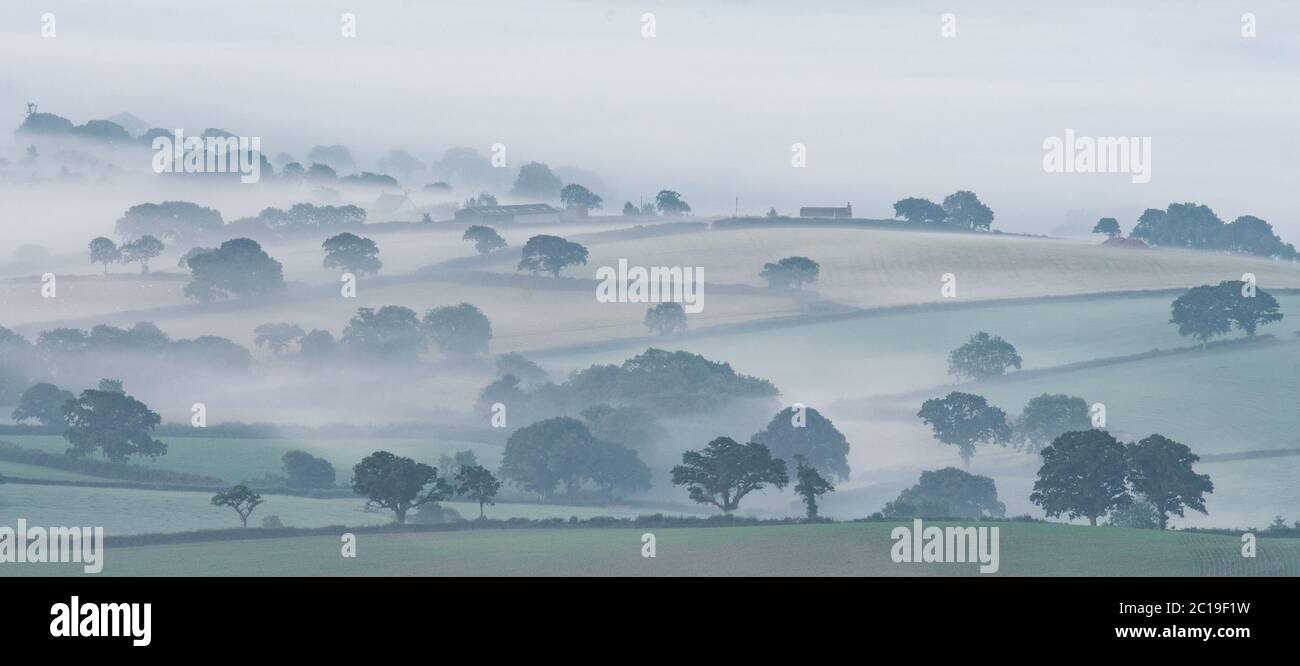 Marshwood Vale, Bridport, Dorset, Großbritannien. Juni 2020. UK Wetter: Am frühen Morgen steigt Nebel über dem Marshwood Vale, West Dorset zu Beginn eines Sommertages. Kredit: Celia McMahon/Alamy Live Nachrichten Stockfoto