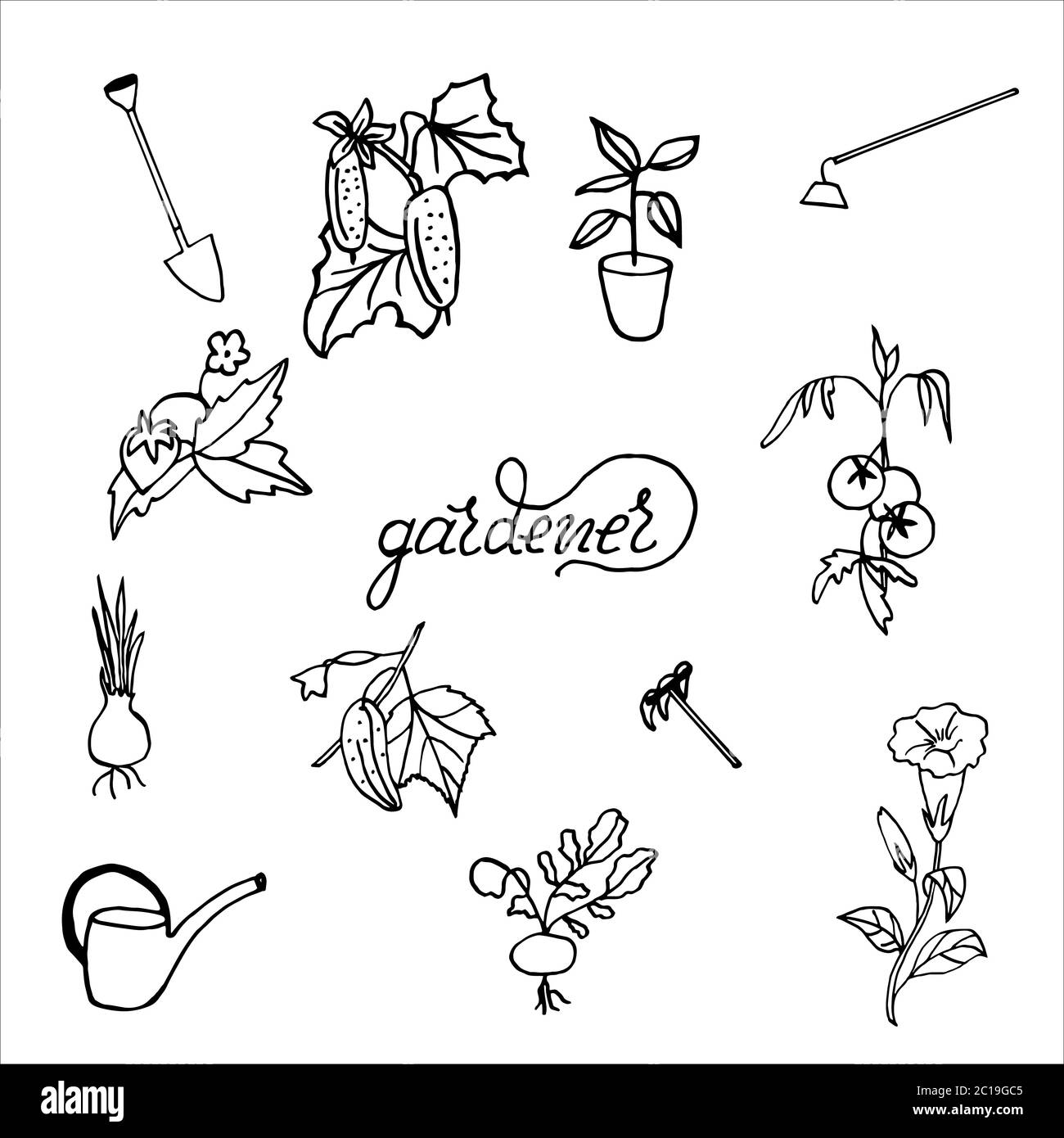Isoliert auf weißem Hintergrund gesetzt Gärtner - Petunia, Tomaten, Gurken, Zwiebeln, Erdbeeren, Handzeichnung, Doodle, Vektor Stock Vektor