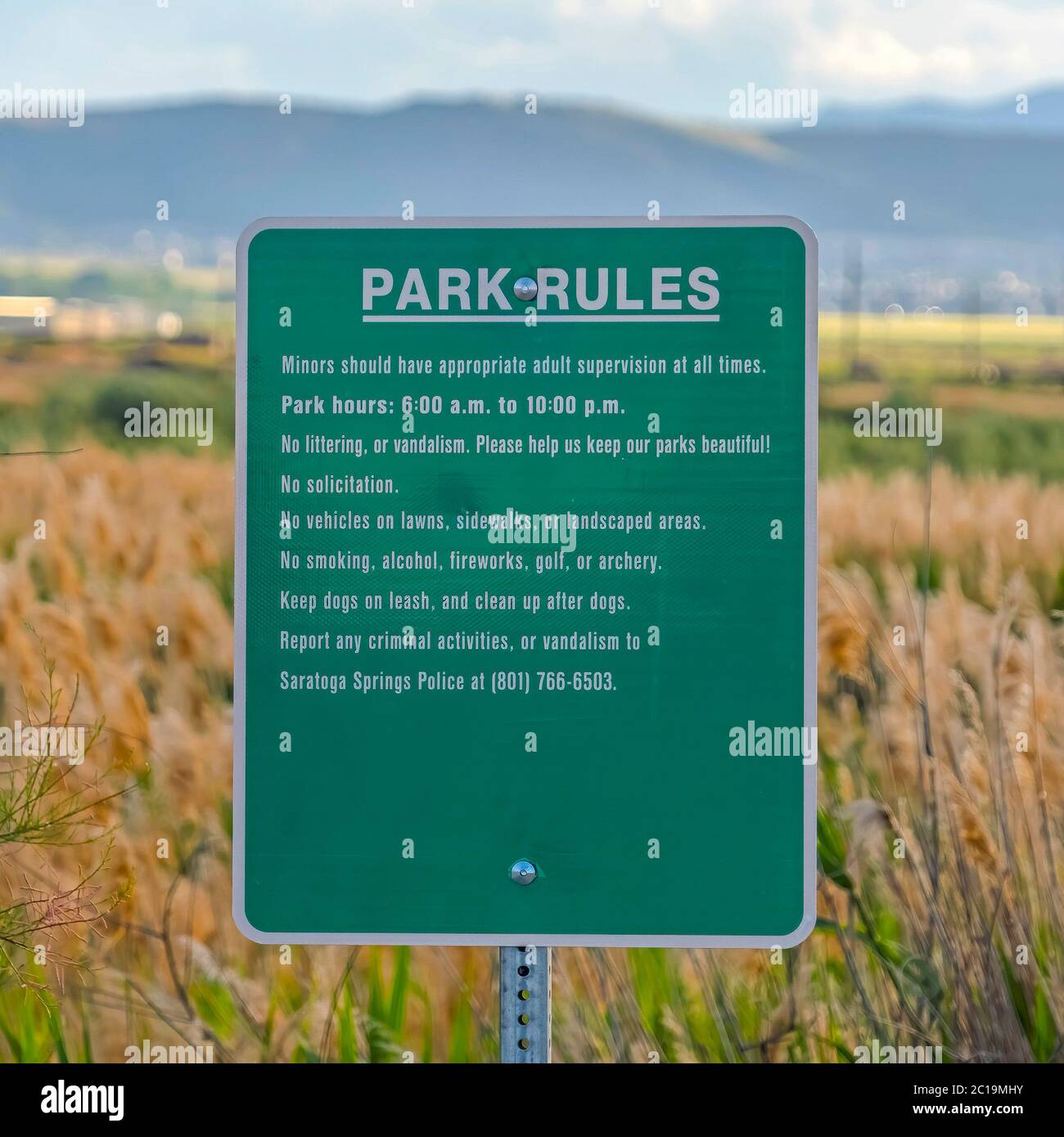 Quadratisches grünes Schild mit Parkregeln gegen üppige, hohe Gräser auf einem riesigen Gelände Stockfoto