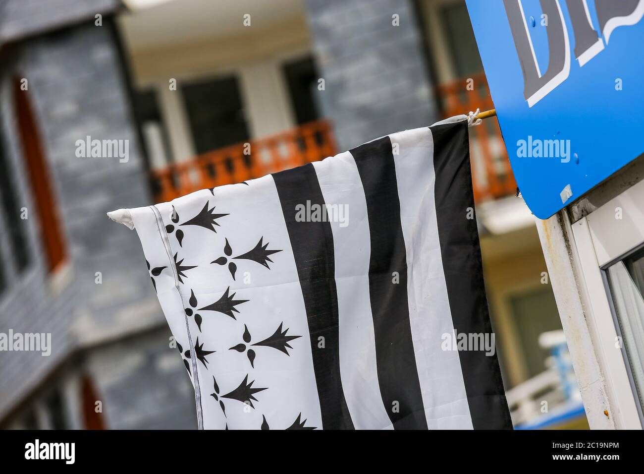 Französische Bretagne Flagge an einer Wand befestigt Stockfoto