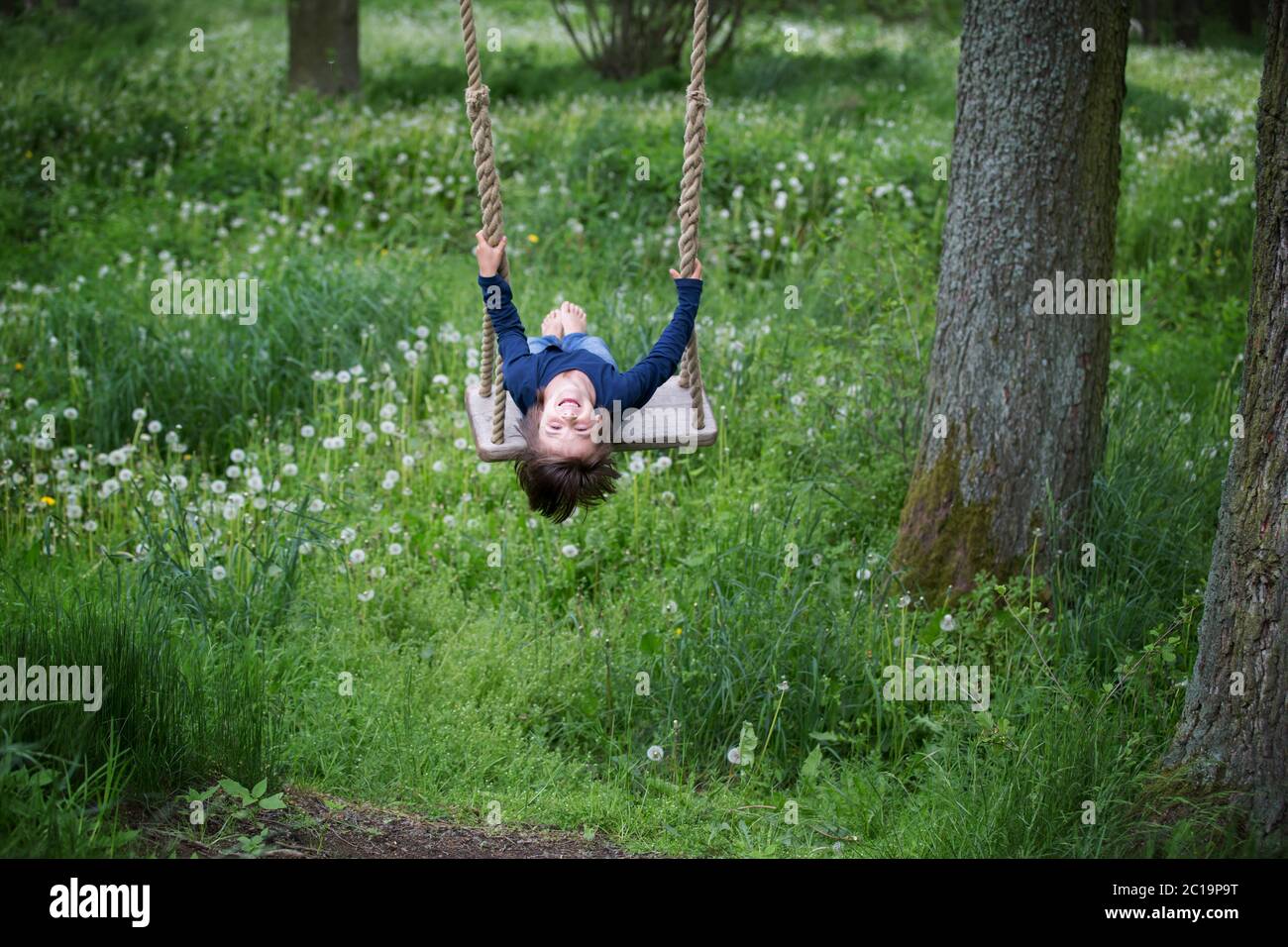 Süßes Kind, vorjugendlicher Junge, schwingend auf einer hölzernen Schaukel auf einem Baum nahe Löwenzahnfeld Stockfoto
