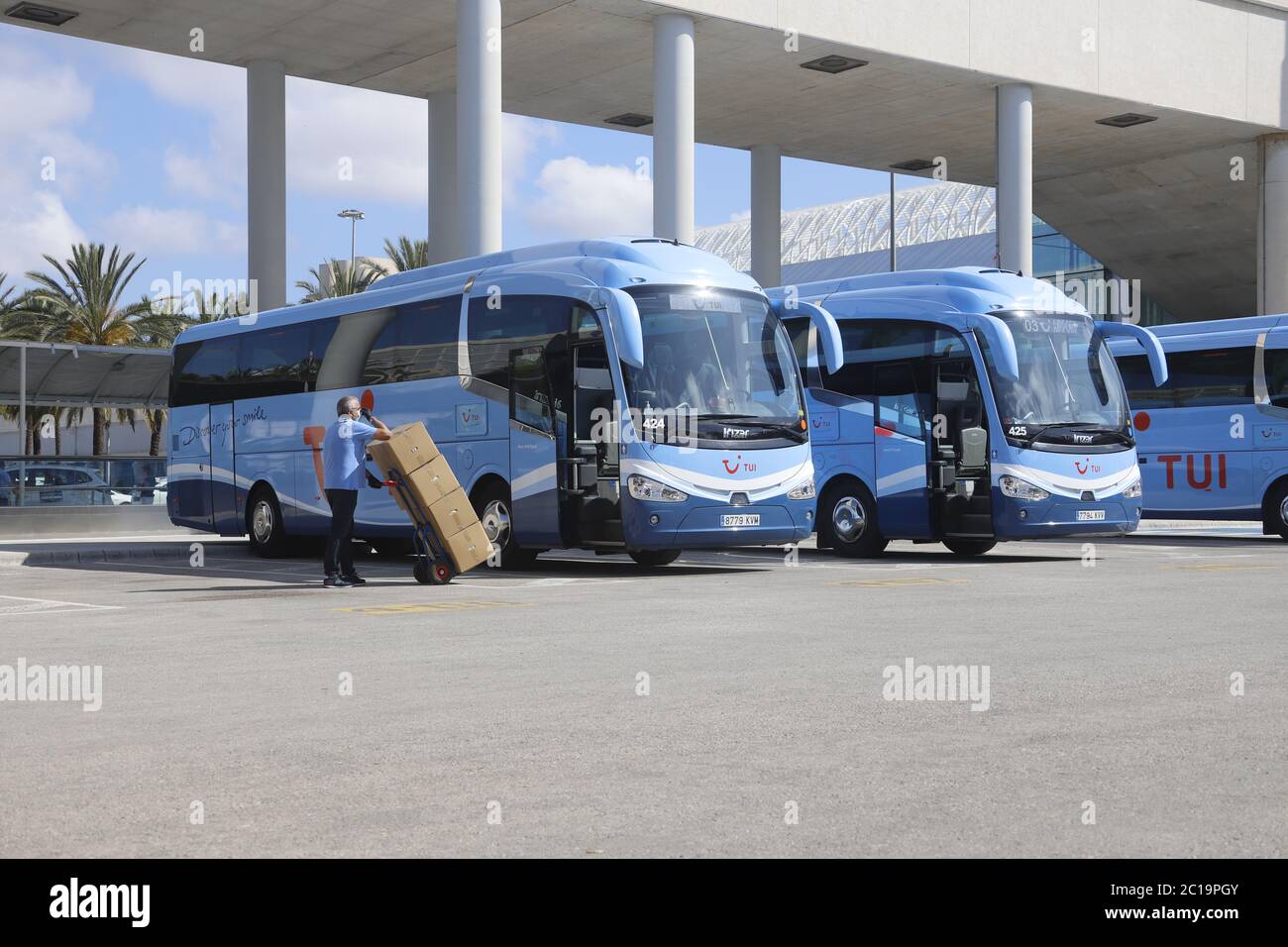 Palma, Spanien. Juni 2020. Die TUI Busse werden vor der Ankunft der ersten Passagiere am Flughafen Palma de Mallorca geparkt. Nach wochenlanger Coronapause wird am Montagmorgen das erste Flugzeug aus Deutschland erwartet. Quelle: Clara Margais/dpa/Alamy Live News Stockfoto