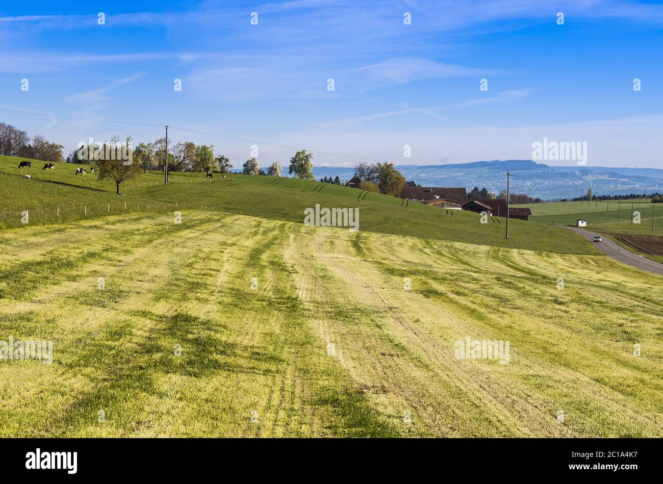 Tierhaltung in der Schweiz Stockfoto Tierhaltung in der Schweiz Stockfoto