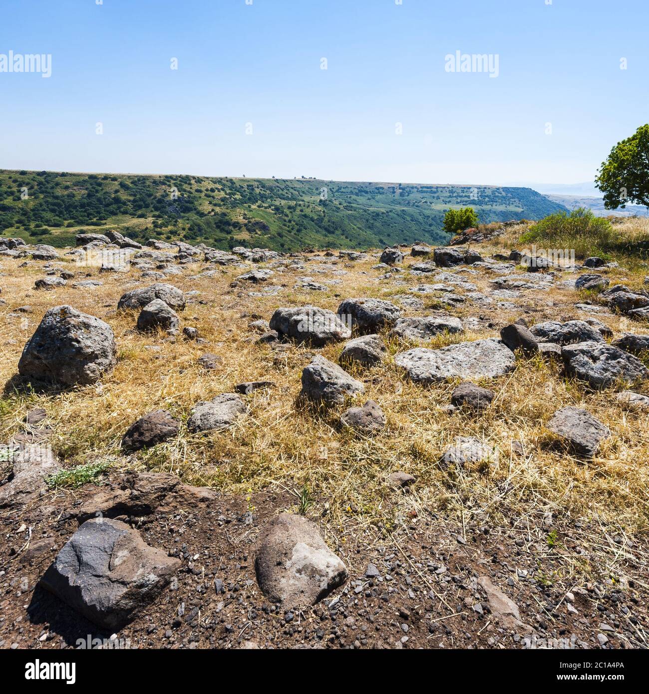 Gamla Naturschutzgebiet Stockfoto