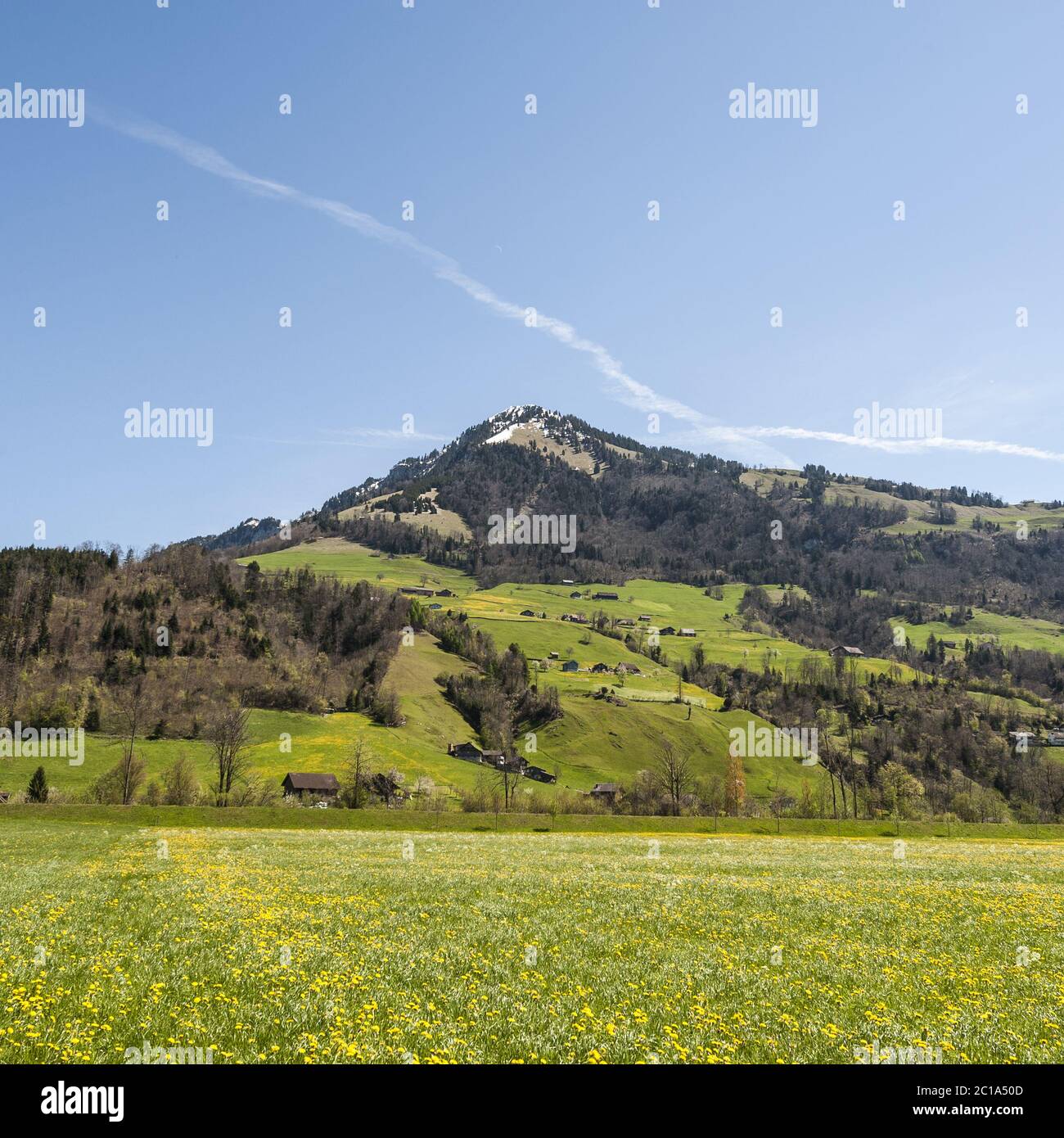 Blühende Wiesen in der Schweiz Stockfoto