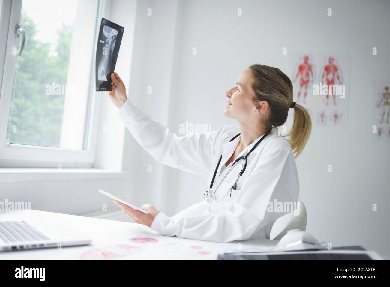 Ziemlich junge Ärztin schaut auf Röntgenaufnahmen Stockfoto