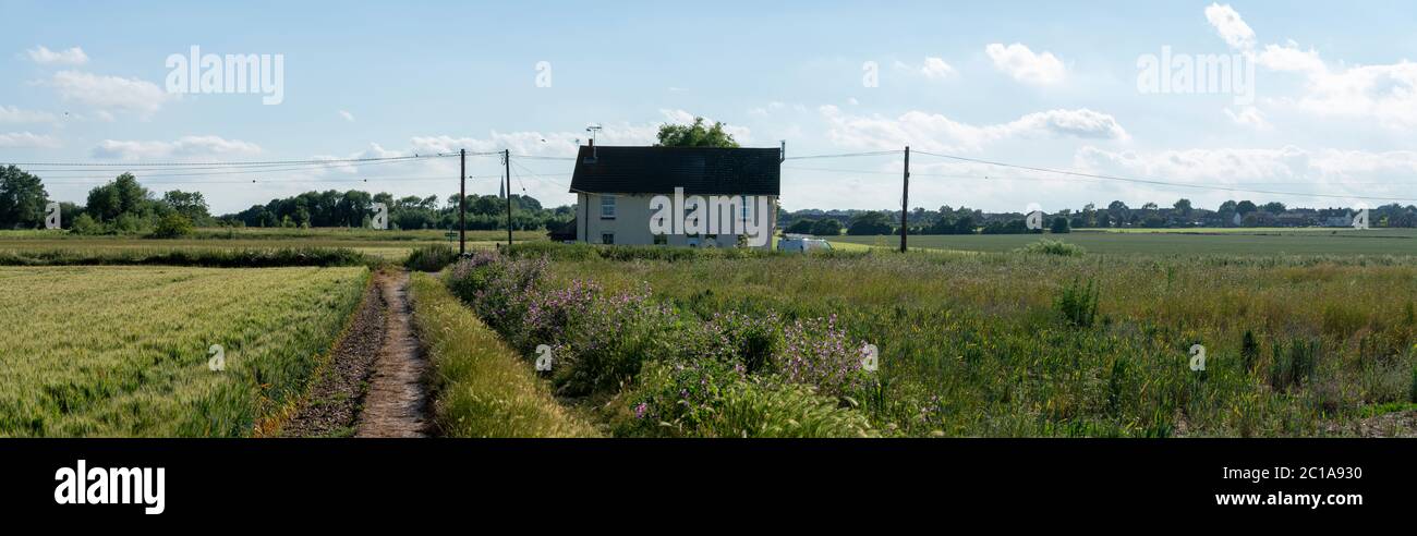 Blick auf die oldie Welt Grüngürtel Blick auf die Halbinsel Hoo, bevor die grünen Felder in eine Stadt verwandelt und während des Übergangs gebaut wurde. Stockfoto