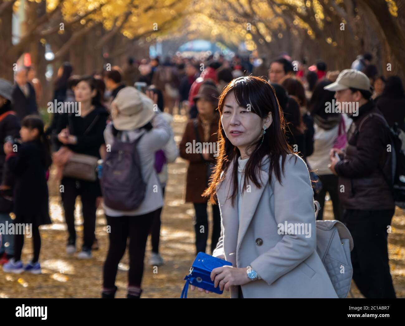 Familie genießt den Herbst in Jingu Gaien Ginkgo Avenue, Tokio, Japan Stockfoto