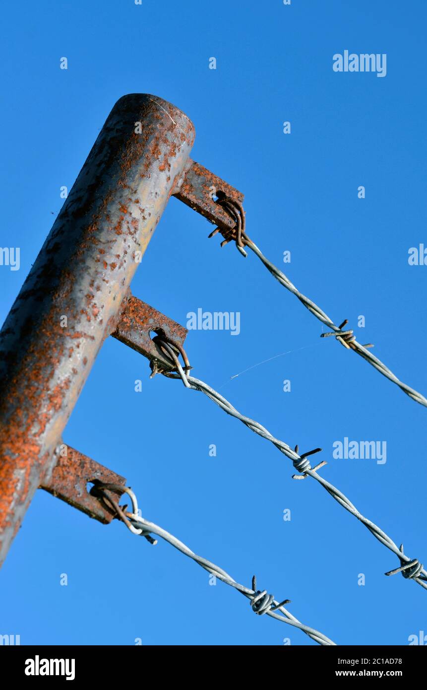 Rostende Rohrpost aus Metall halten Stacheldraht-Zäune Stockfoto