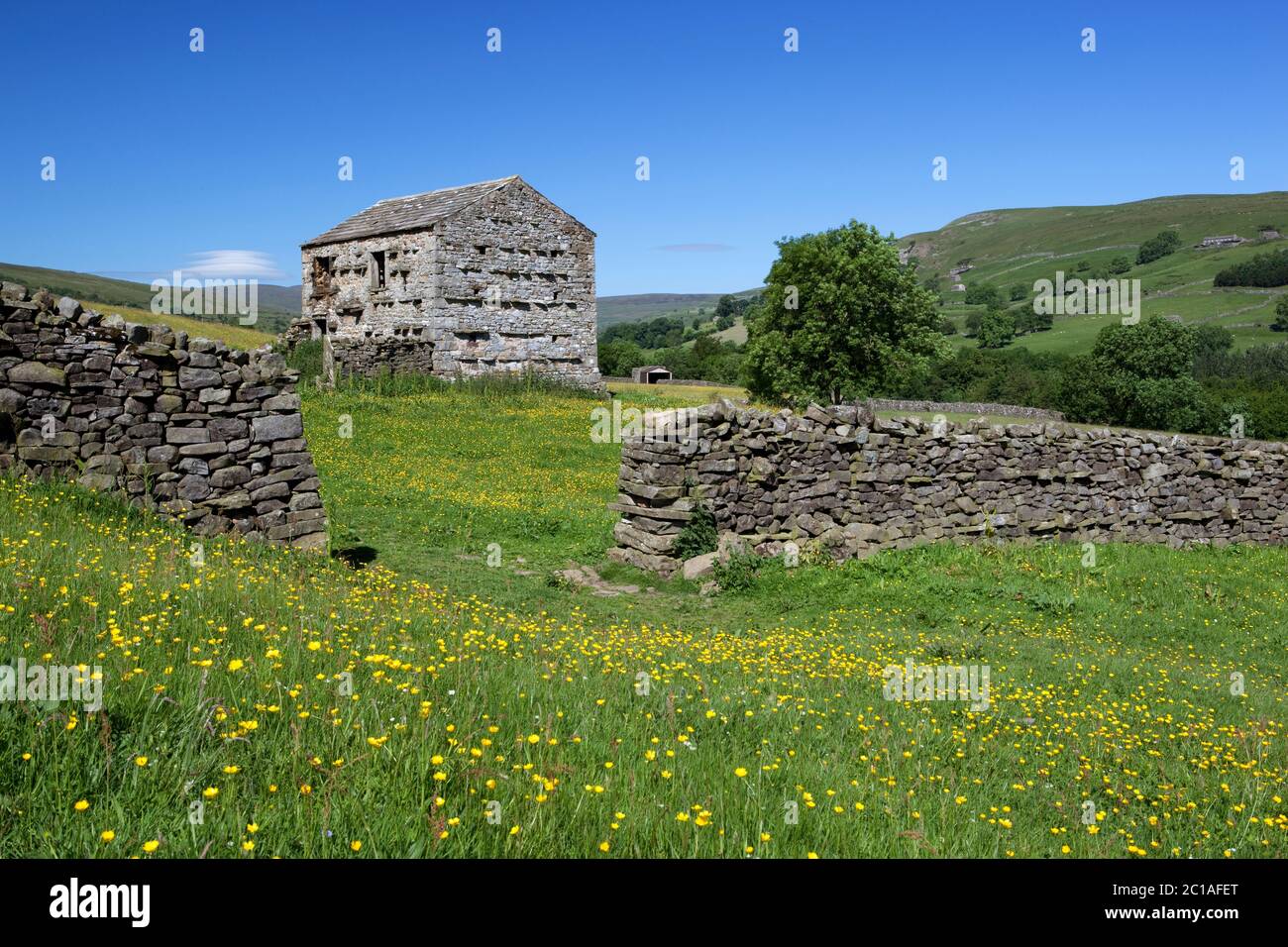 Typische Stall und Mauer im Swaledale Tal, Gunnerside, Yorkshire Dales Nationalpark, North Yorkshire, England, Vereinigtes Königreich, Europa Stockfoto