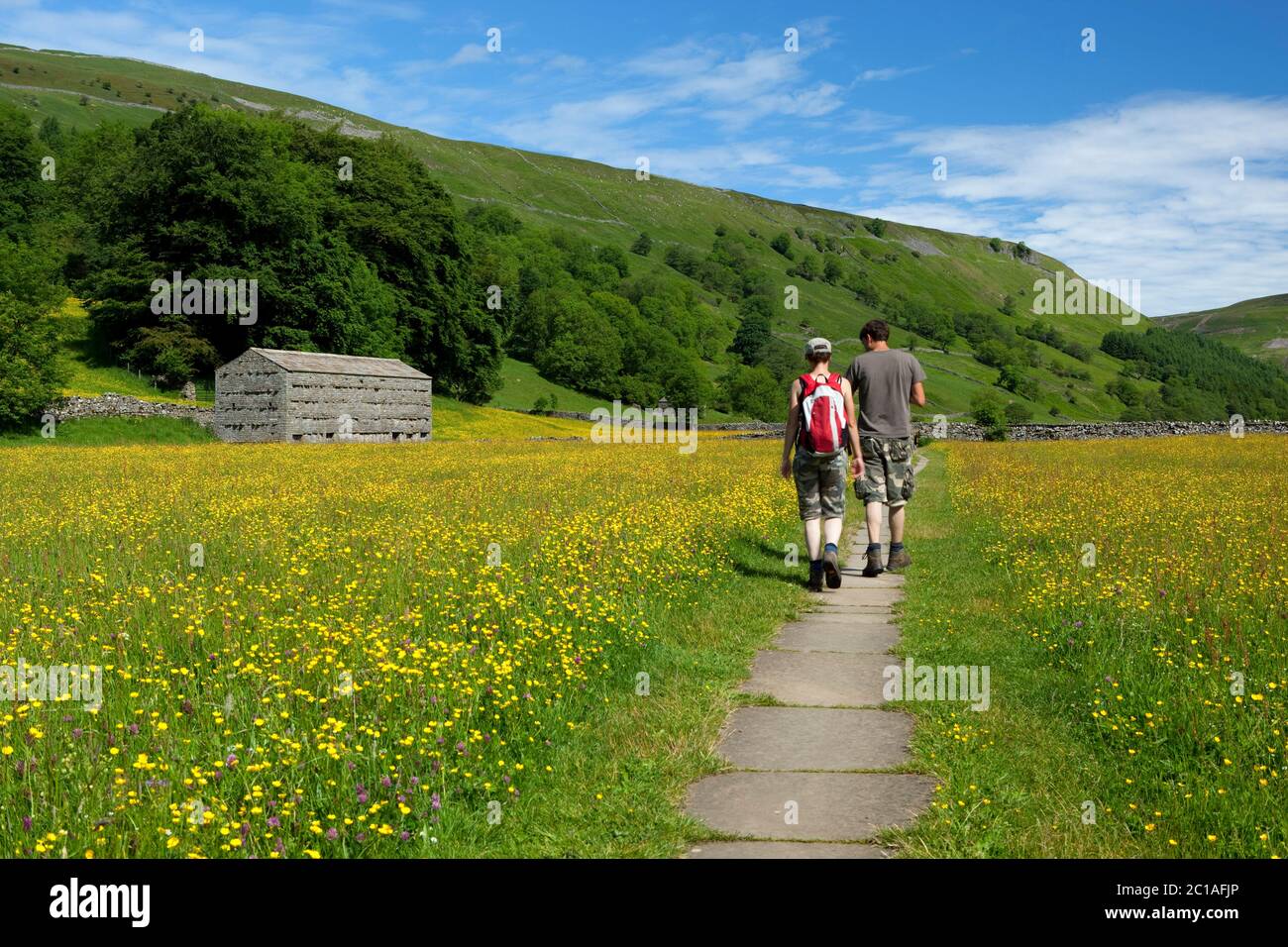 Wanderer zwischen Buttercup gefüllte Wiese in Swaledale Tal, Muker, Yorkshire Dales Nationalpark, North Yorkshire, England, Großbritannien, Europa Stockfoto