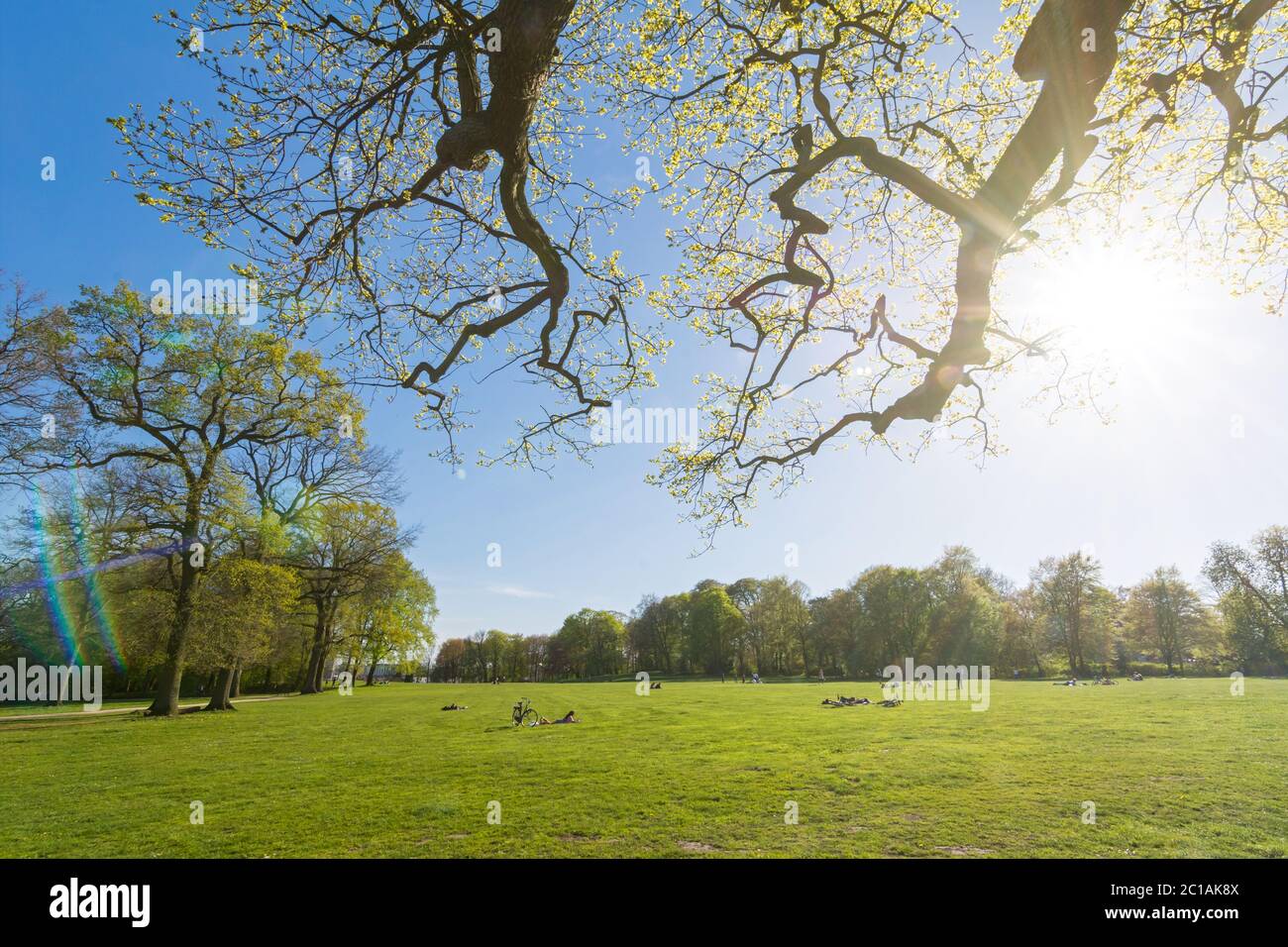 Idyllischer Park im Frühjahr mit Sonnenstrahlen und Streulicht Stockfoto