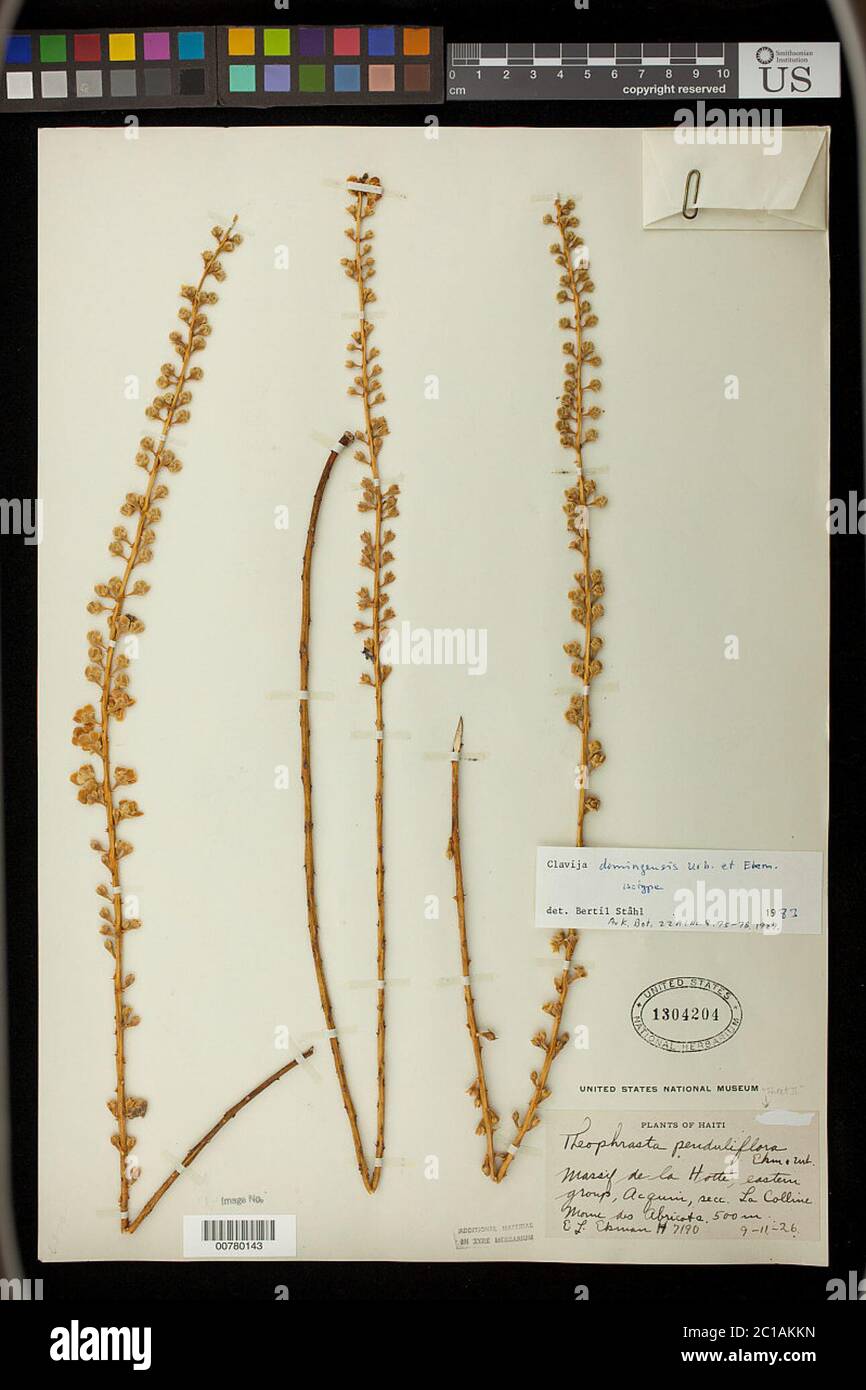 Clavija Stockfotos Und Bilder Kaufen Alamy