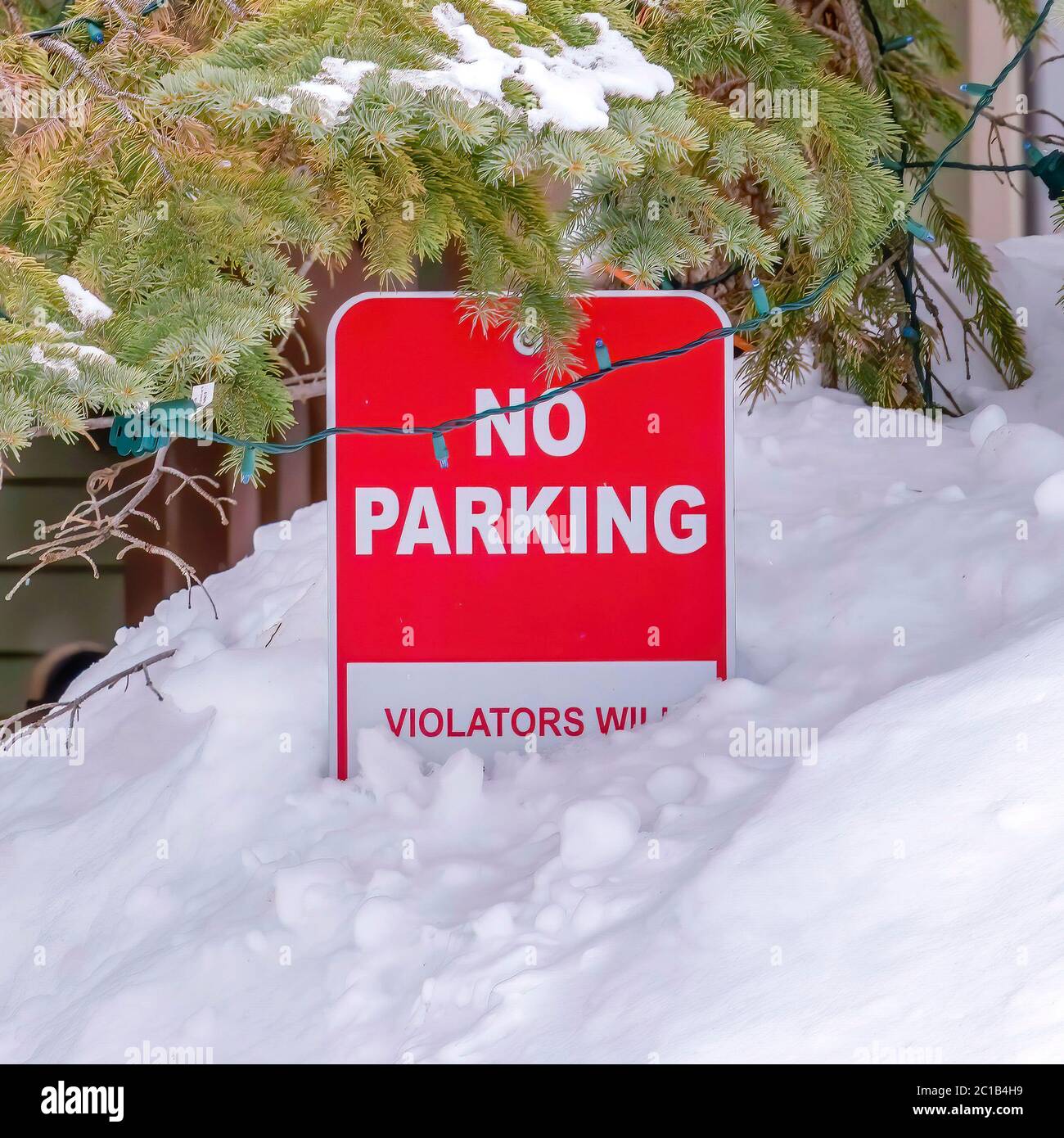 Platz kein Parkplatz Schild halb in frischem Schnee neben einem Baum mit Sehnen begraben Stockfoto