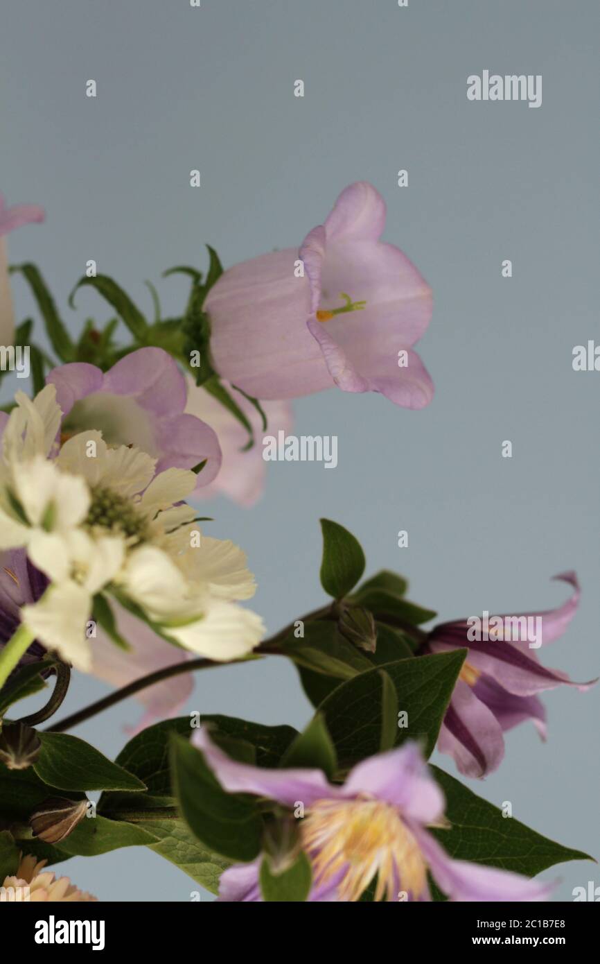 Bunte holländische Blumen Blumenstrauß Studio Fotografie. Gerberas Fresias, Rosen, Nelkenblumen. Klassischer Look Stockfoto
