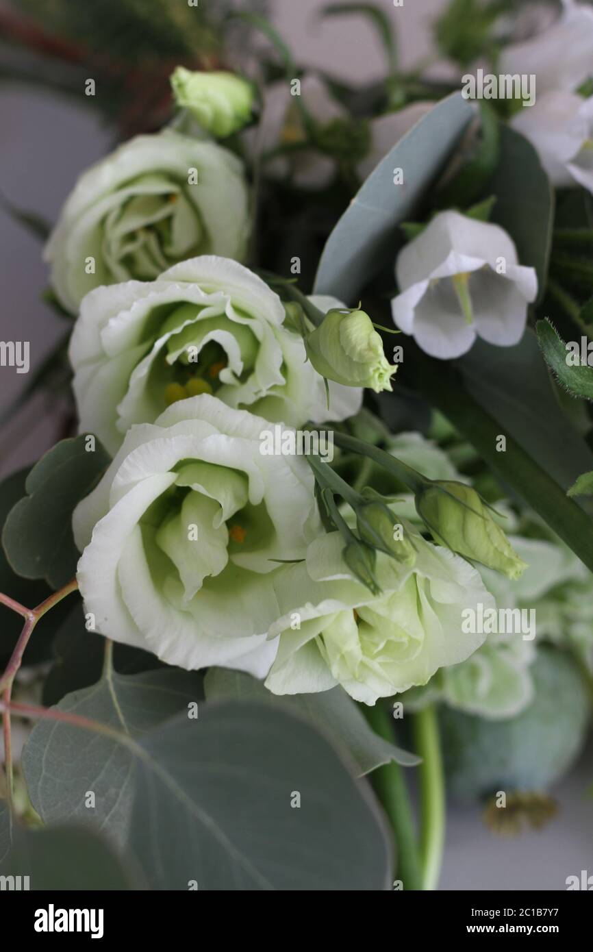 Weiß holländischen Blumen Blumenstrauß Studio Fotografie. Gerberas Fresias, Rosen, Nelkenblumen. Klassischer Look Stockfoto