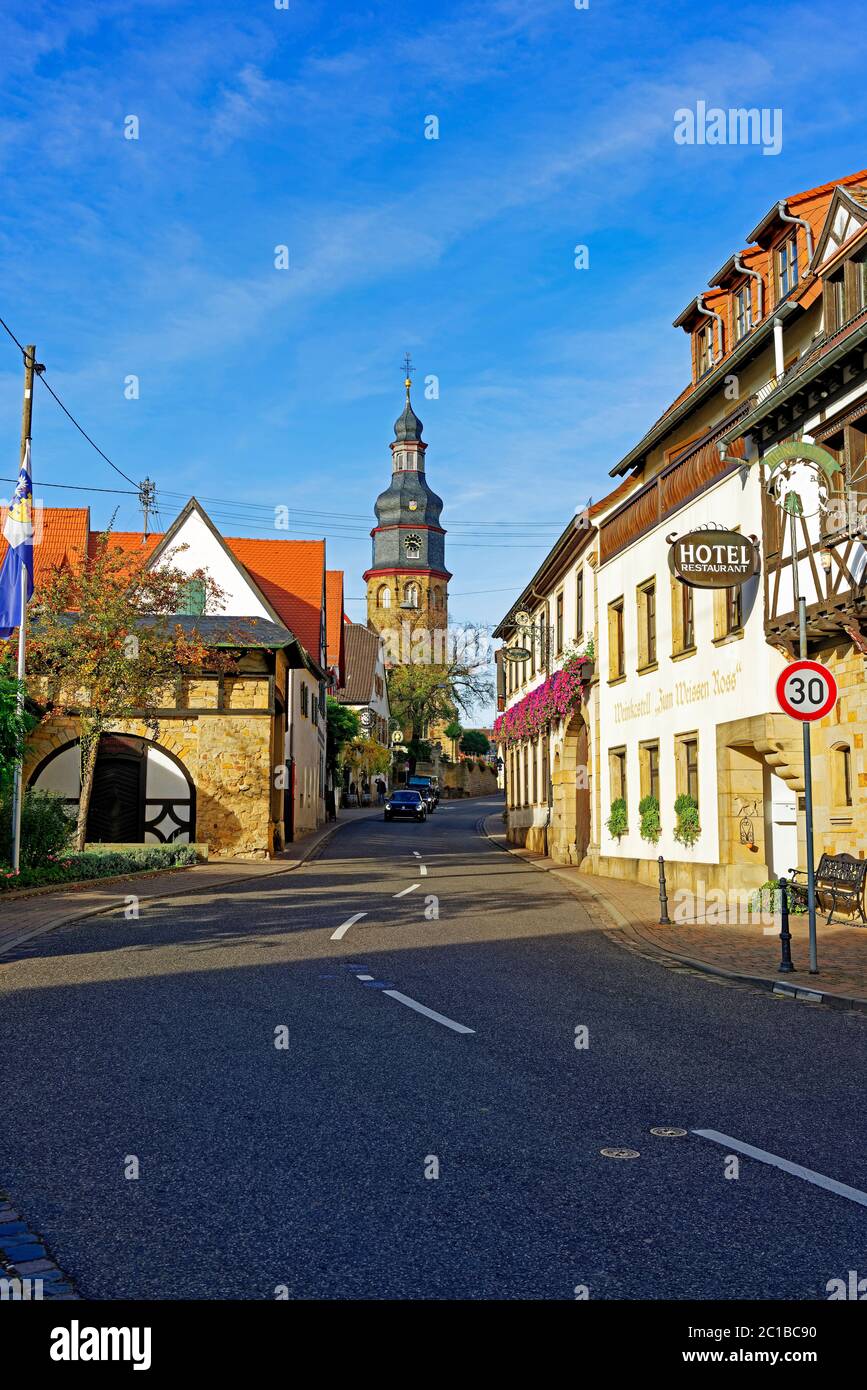 'Straßenansicht, Hotel, Restaurant, Weinkasten ''zum Weissen Ross'', Weingut Koehler-Ruprecht, Weinstube, Platz am Saumagen, erbaut ca. 1600, Protest Stockfoto