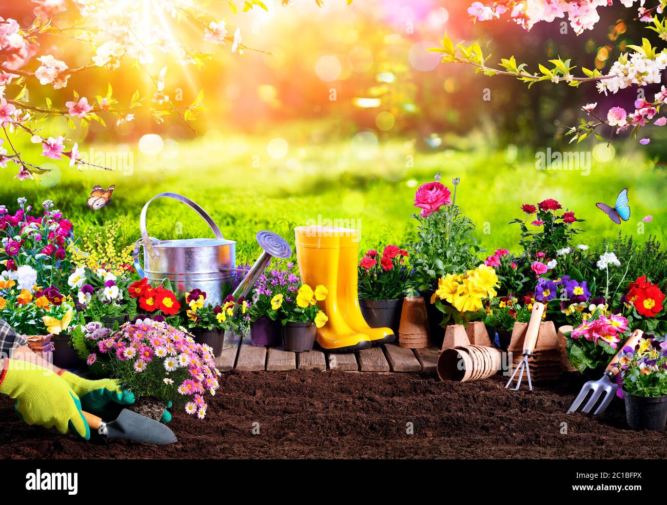 Spring Gardening - Blumentöpfe Und Ausrüstung Im Sonnigen Garten Stockfoto