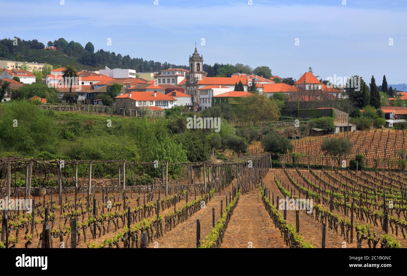 Portugal, Sabrosa, Douro Weinbaugebiet. Blick auf die historische Stadt und den Kirchturm der Pfarrkirche aus den frühlingshaften Weinbergen. UNESCO-Weltkulturerbe. Stockfoto