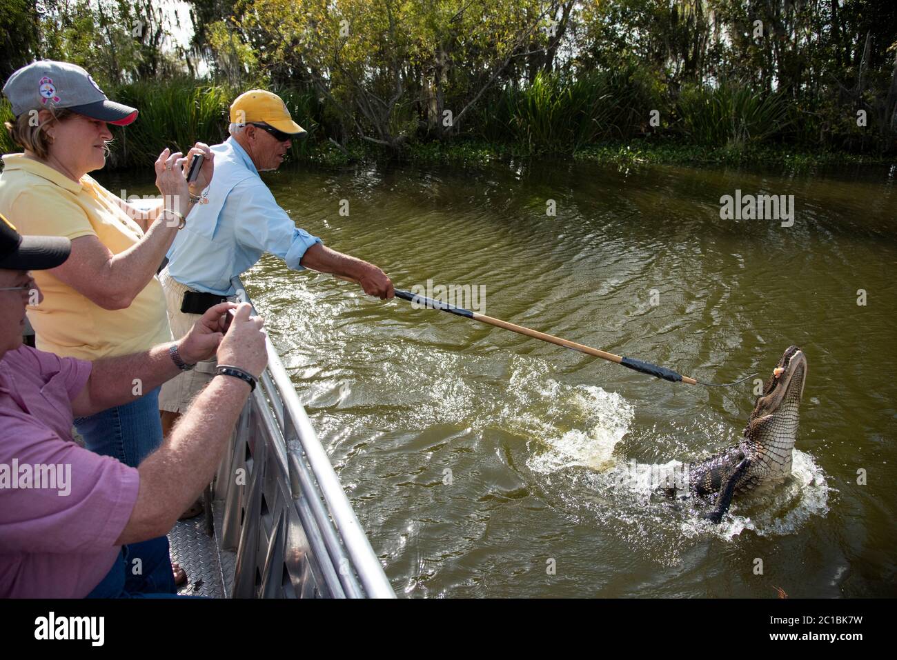 USA, Deep South, Louisiana, Houma, Sumpftour Stockfoto