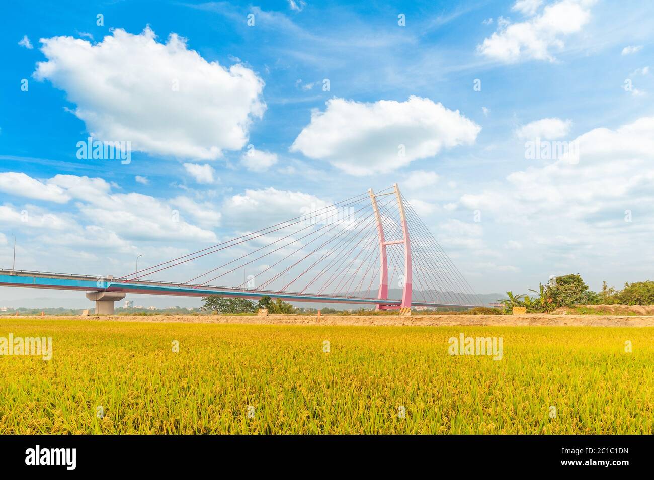 Taiwans höchste Kabelbrücke blieb in Zhubei, Taiwan Stockfoto