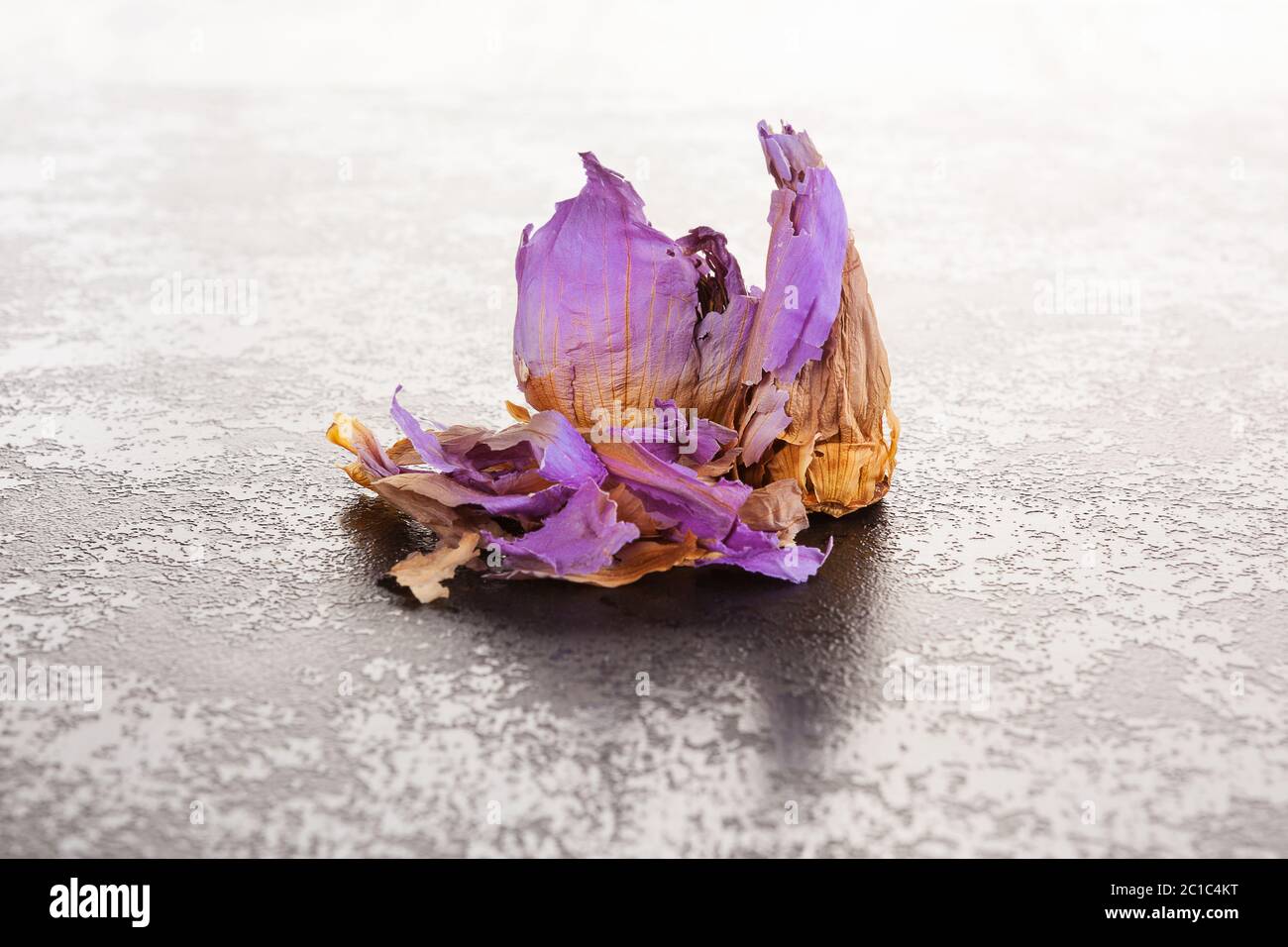 Getrocknete Blue Lotus Flower. Stockfoto