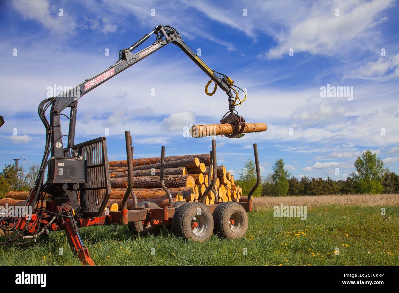 Holzbeladung mit einem Pullback Stockfoto
