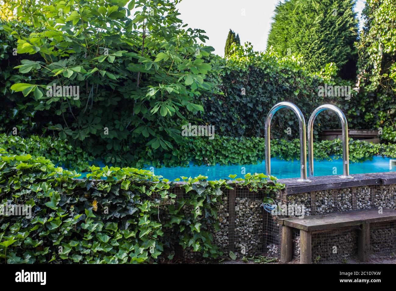 Im Freien in der Erde Wohn-Swimmingpool im Hinterhof mit Whirlpool und viele Grünpflanzen Stockfoto