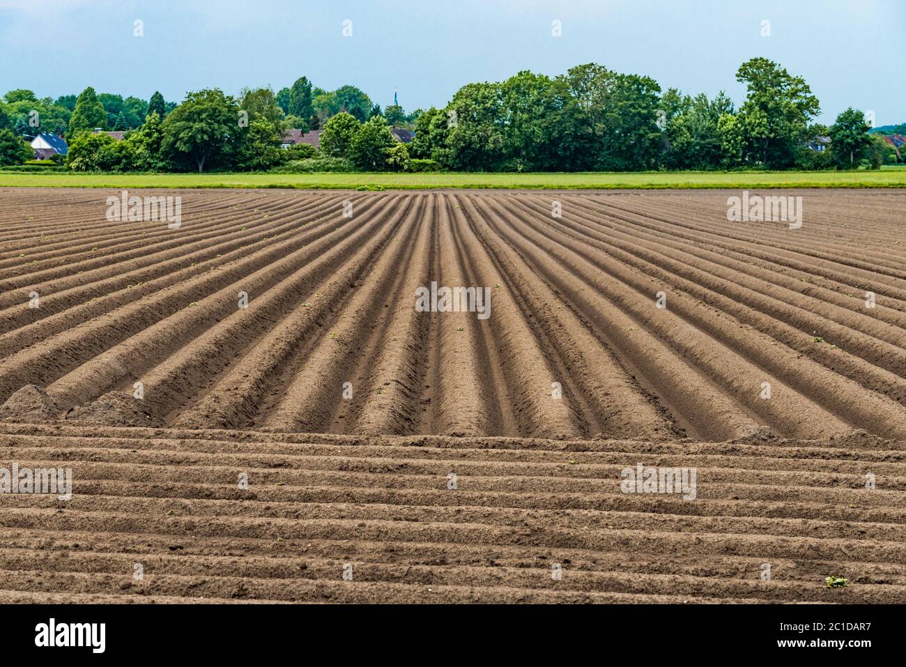 Gepflügten Feldes, Frühling landwirtschaftlichen Hintergrund Stockfoto
