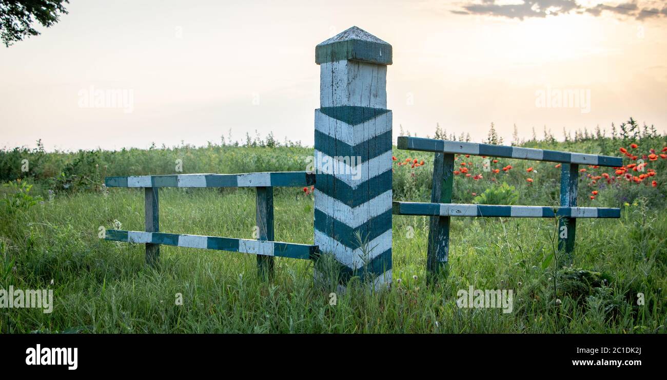 Holzmarkiersäule auf dem Feld, mit Erbsen, vor dem Hintergrund von grünem Gras Stockfoto