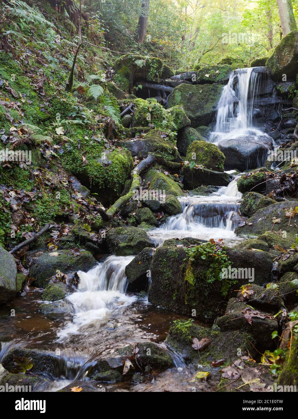 Kleine Wasserfälle in Hebers Ghyll, einer grünen Felsenschlucht, die von Ilkley Moor am Stadtrand abstürzt Stockfoto