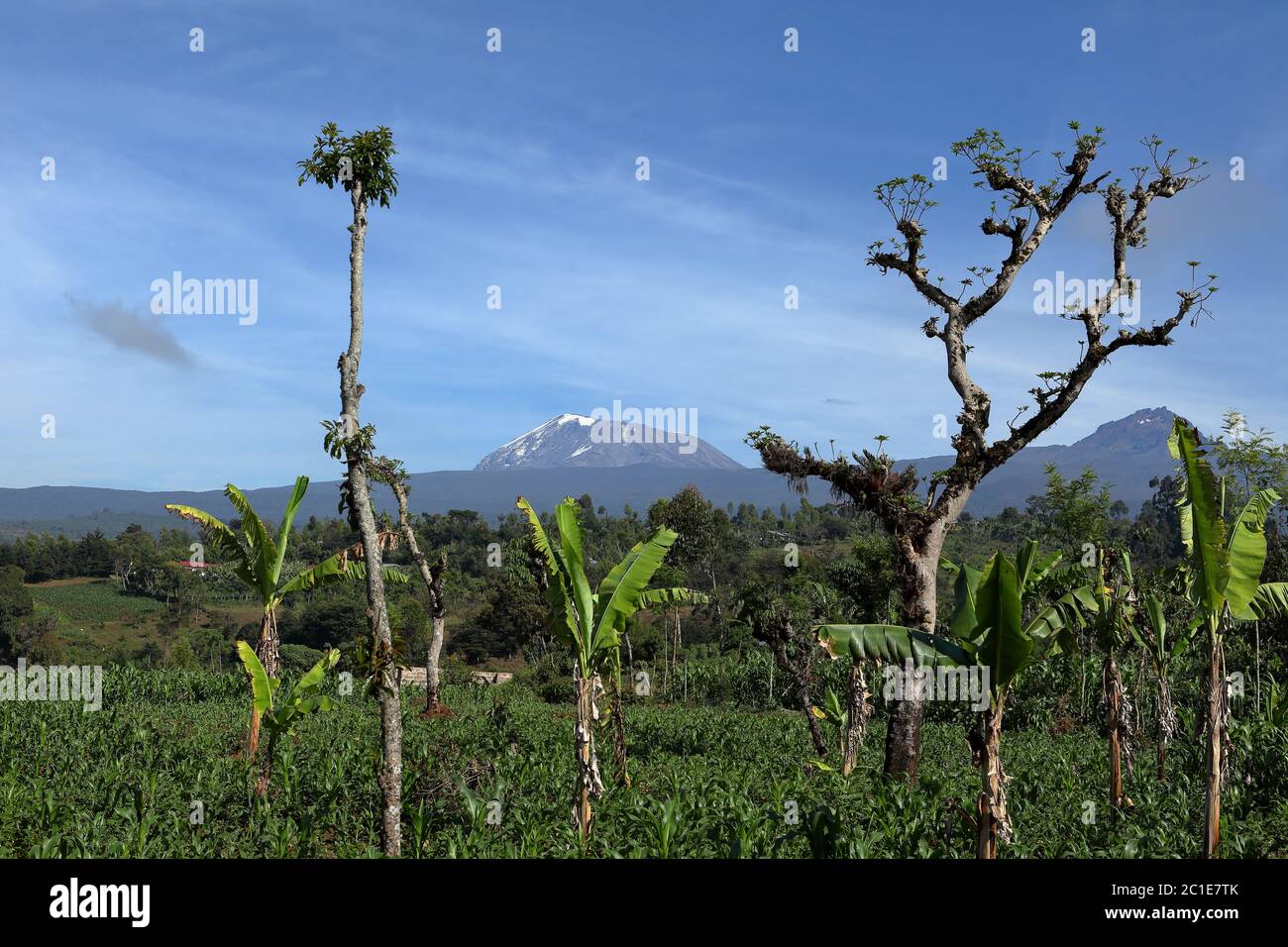 Der Kilimandscharo in Tansania Stockfoto