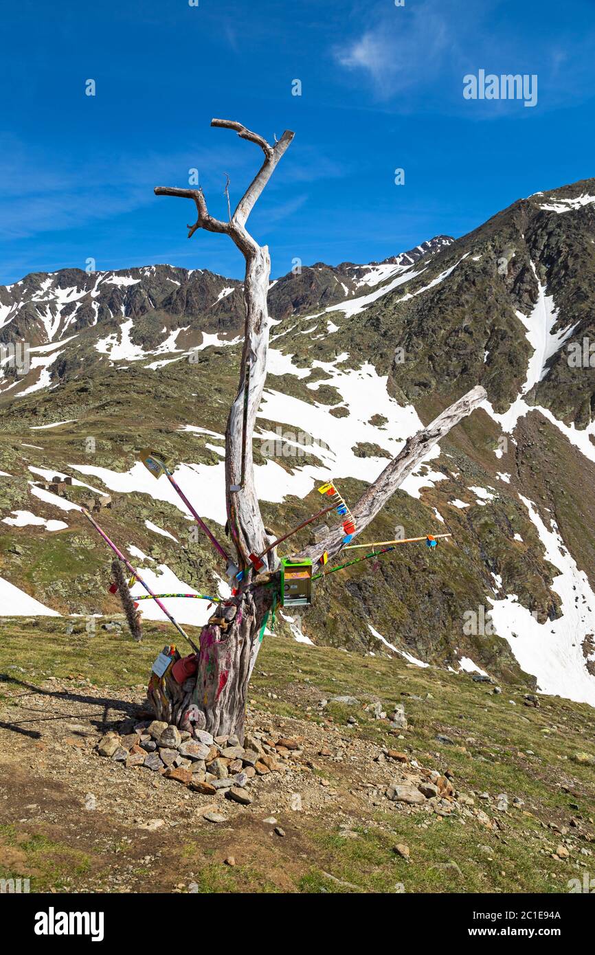 Baum der Wunsch auf Timmelsjoch zwischen Österreich und Italien Stockfoto