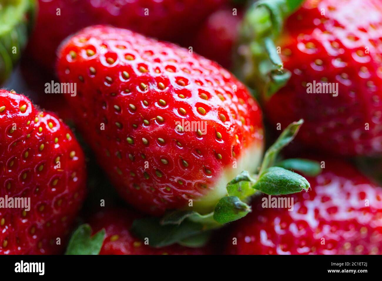 Reife süße frische rote Erdbeeren in der Nähe. Ernte. Saftige Beeren und Früchte. Gesunde Ernährung saisonale Vitamine. Diätdessert. Leckeres Essen. Stockfoto