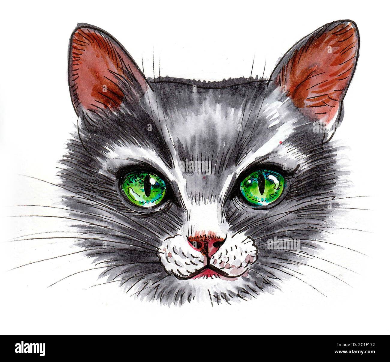 Nette Katze mit grünen Augen. Tusche und Aquarell Zeichnung Stockfoto