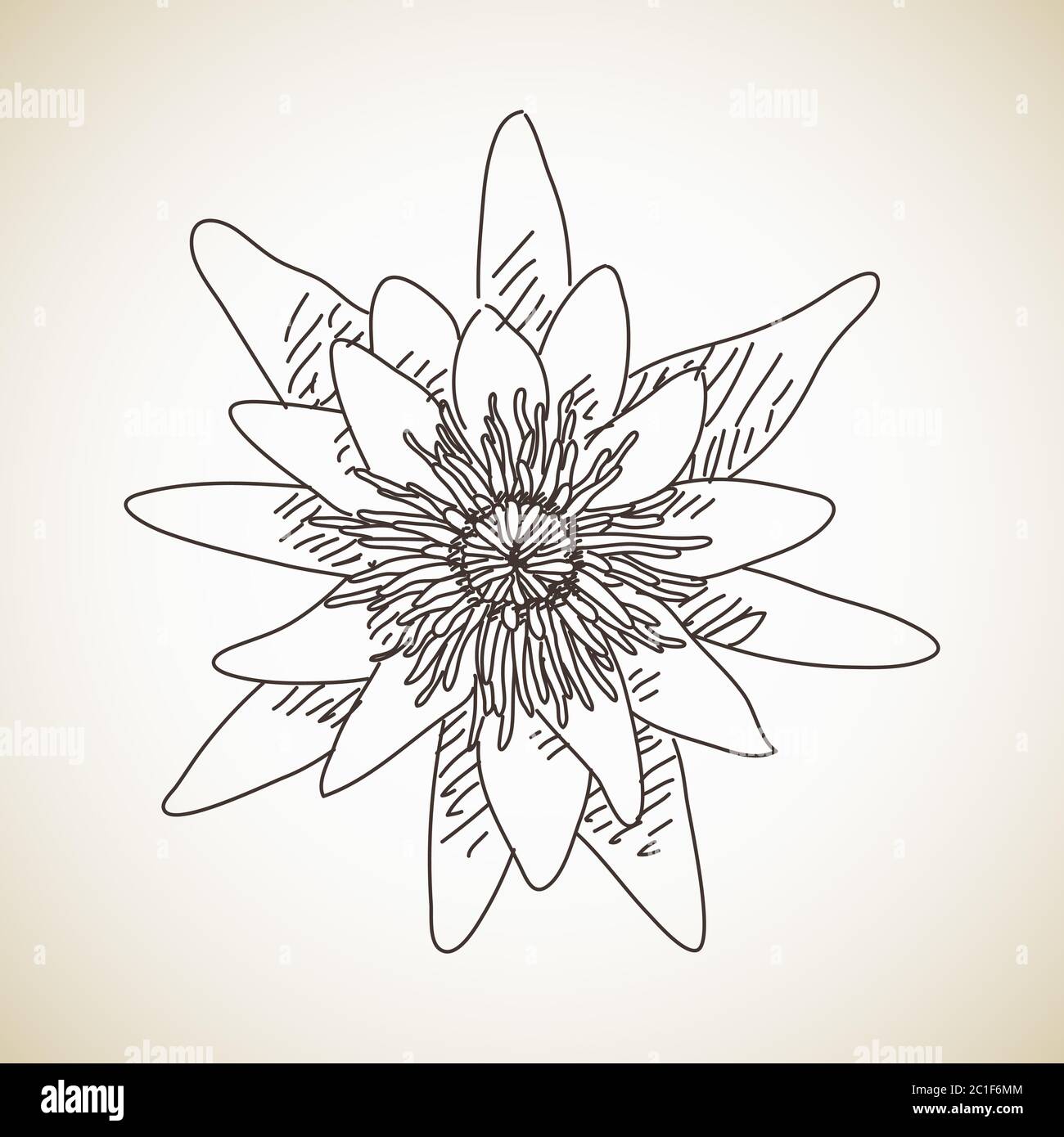 Skizze des Blumentos, handgezeichnete Vektor-Illustration Stock Vektor