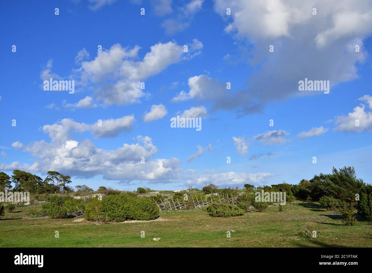 Naturreservat Danbo bei Gotland in Schweden Stockfoto