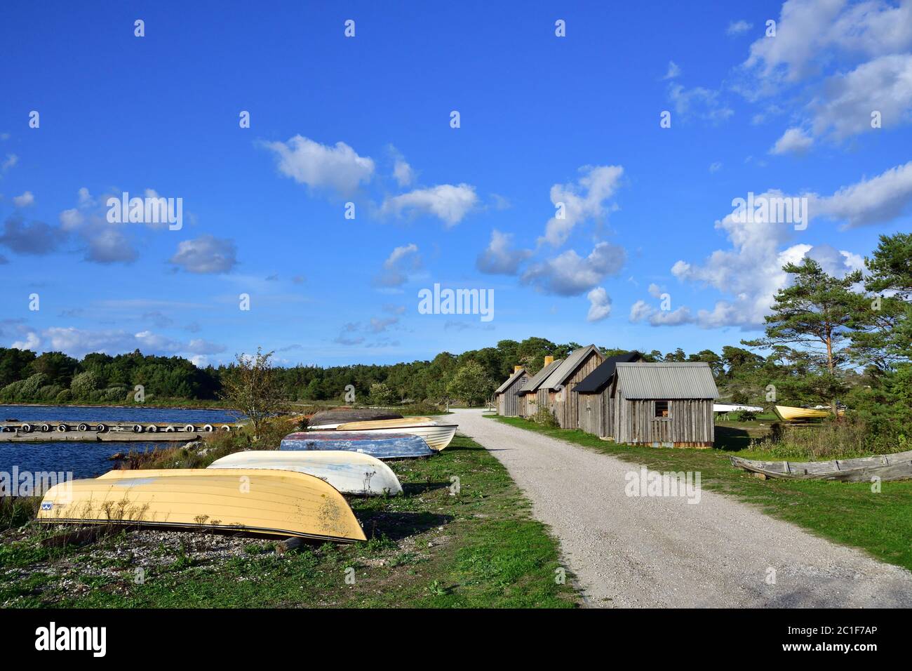 Naturreservat Danbo bei Gotland in Schweden Stockfoto