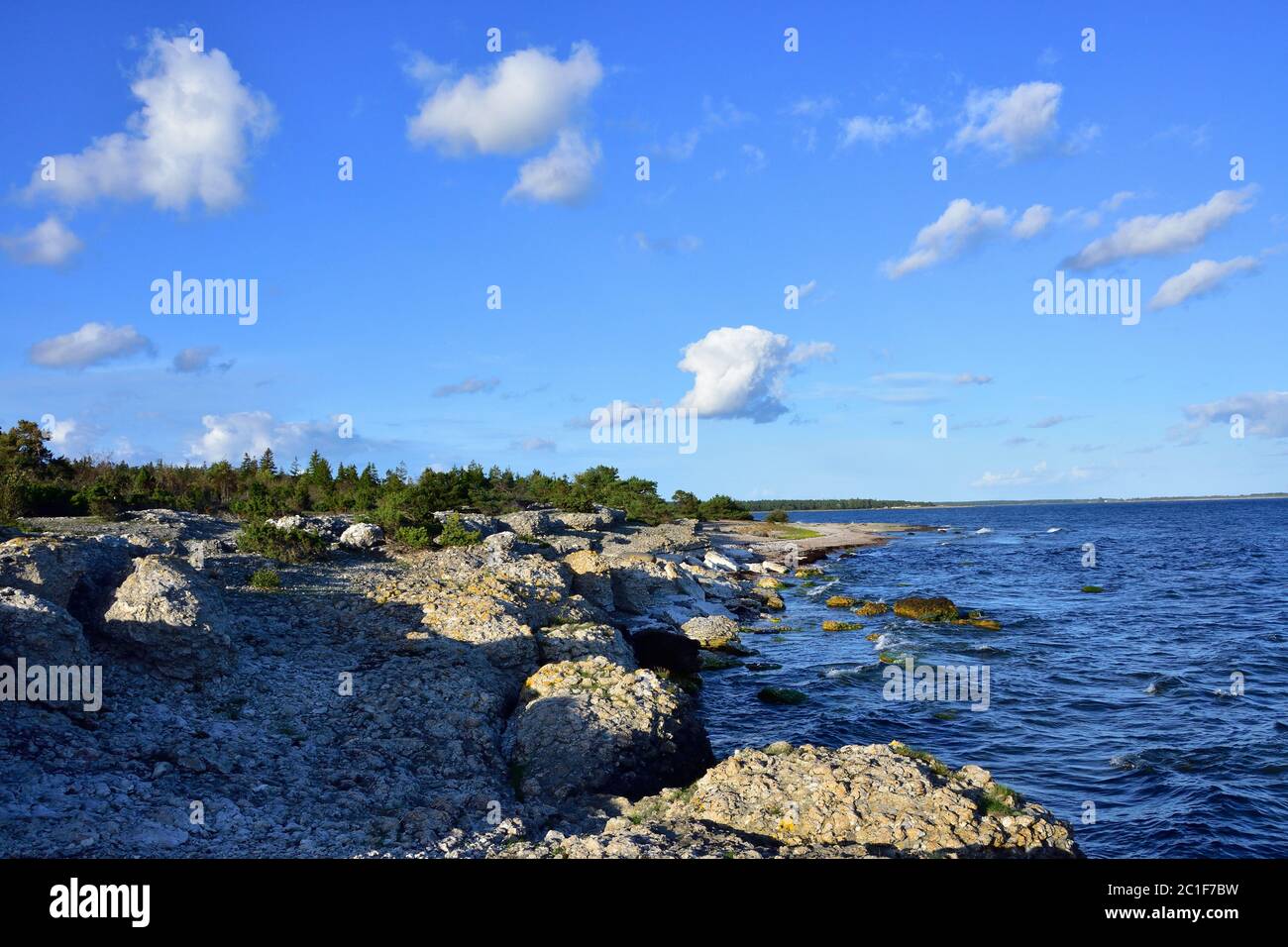 Naturreservat Danbo bei Gotland in Schweden Stockfoto