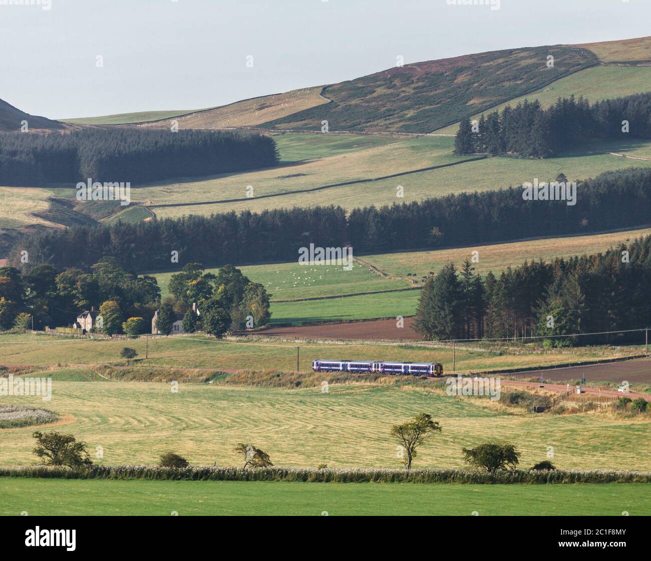 2 Scotrail-Züge der Klasse 158 fahren durch die Landschaft in Ferniehirst auf der Borders-Eisenbahnlinie, Scottish Borders, Schottland, Großbritannien Stockfoto