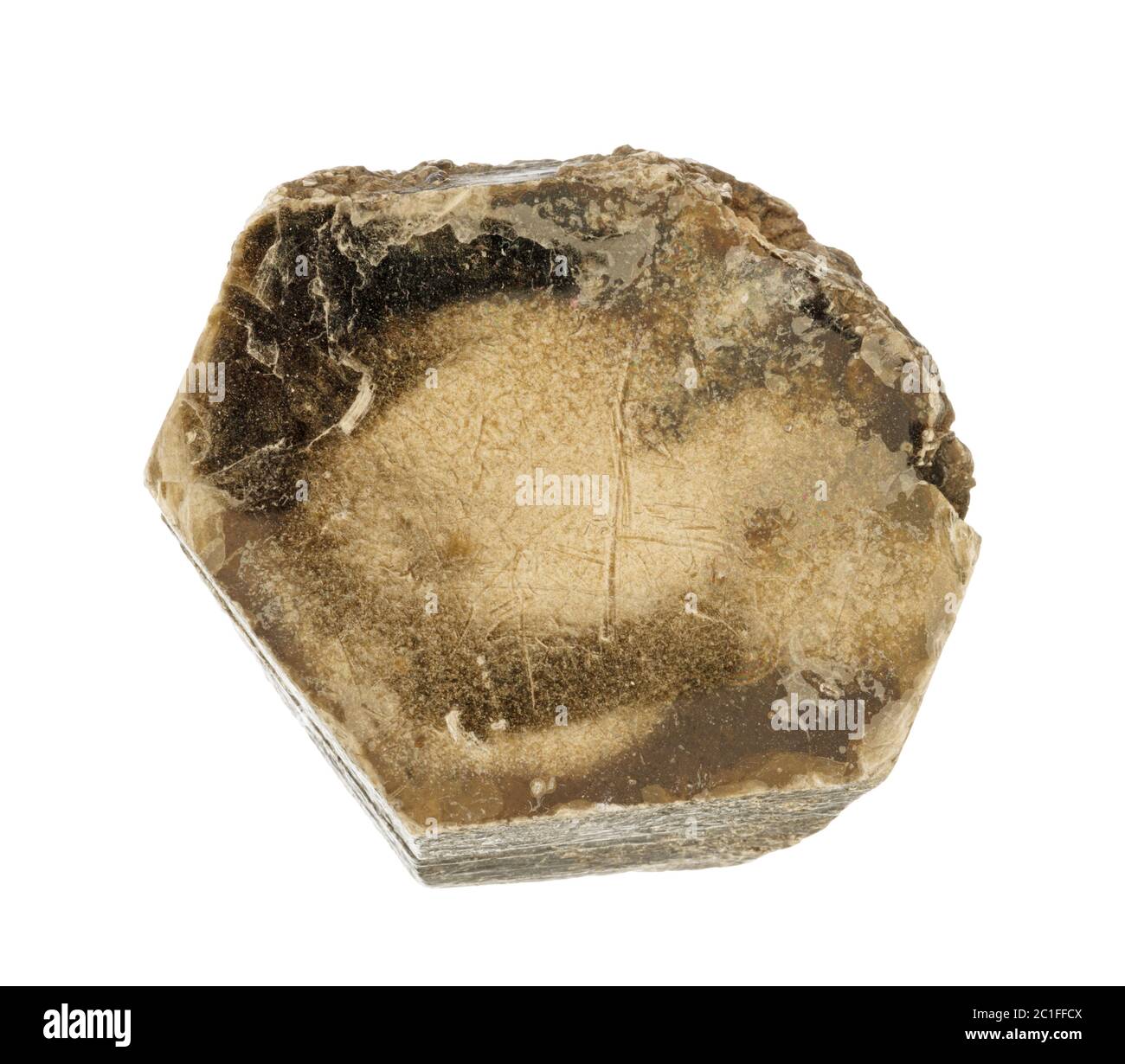 Großer Glimmer Mineralglas isoliert auf weiß Stockfoto